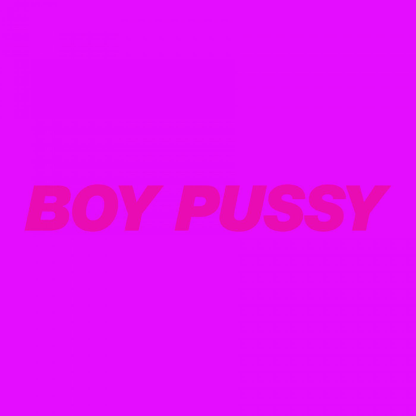 Постер альбома Boy Pussy: The Remixes, Vol. 2