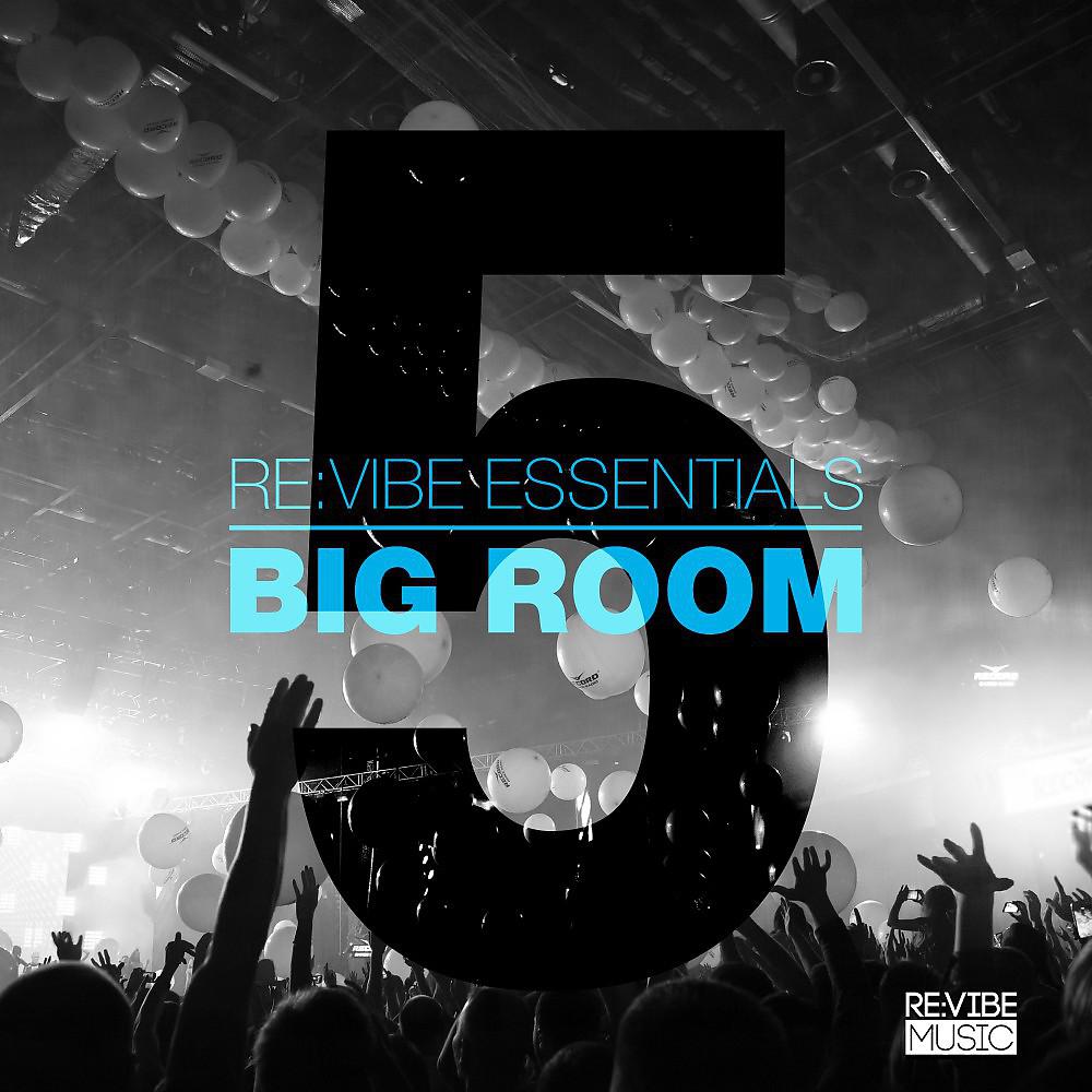 Постер альбома Re:Vibe Essentials - Big Room, Vol. 5