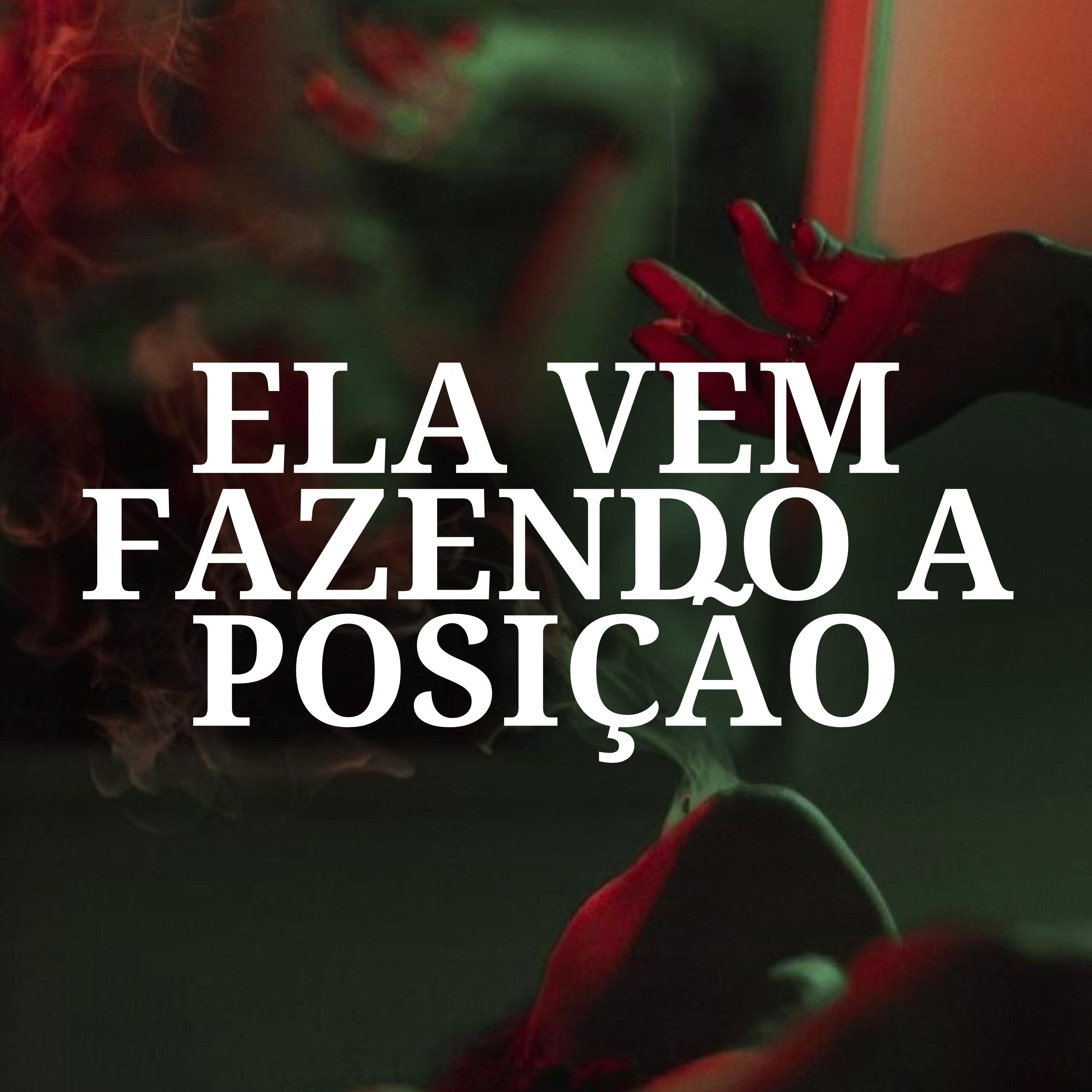 Постер альбома Ela Vem Fazendo a Posição