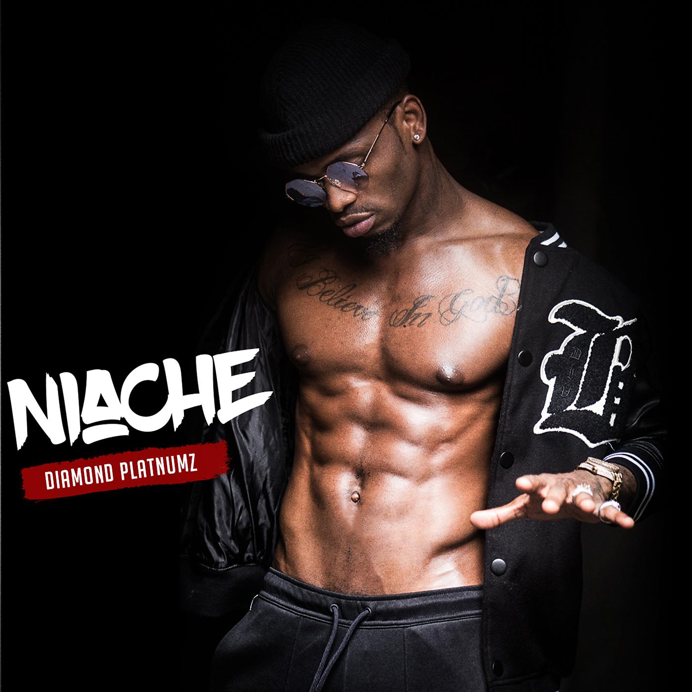 Постер альбома Niache