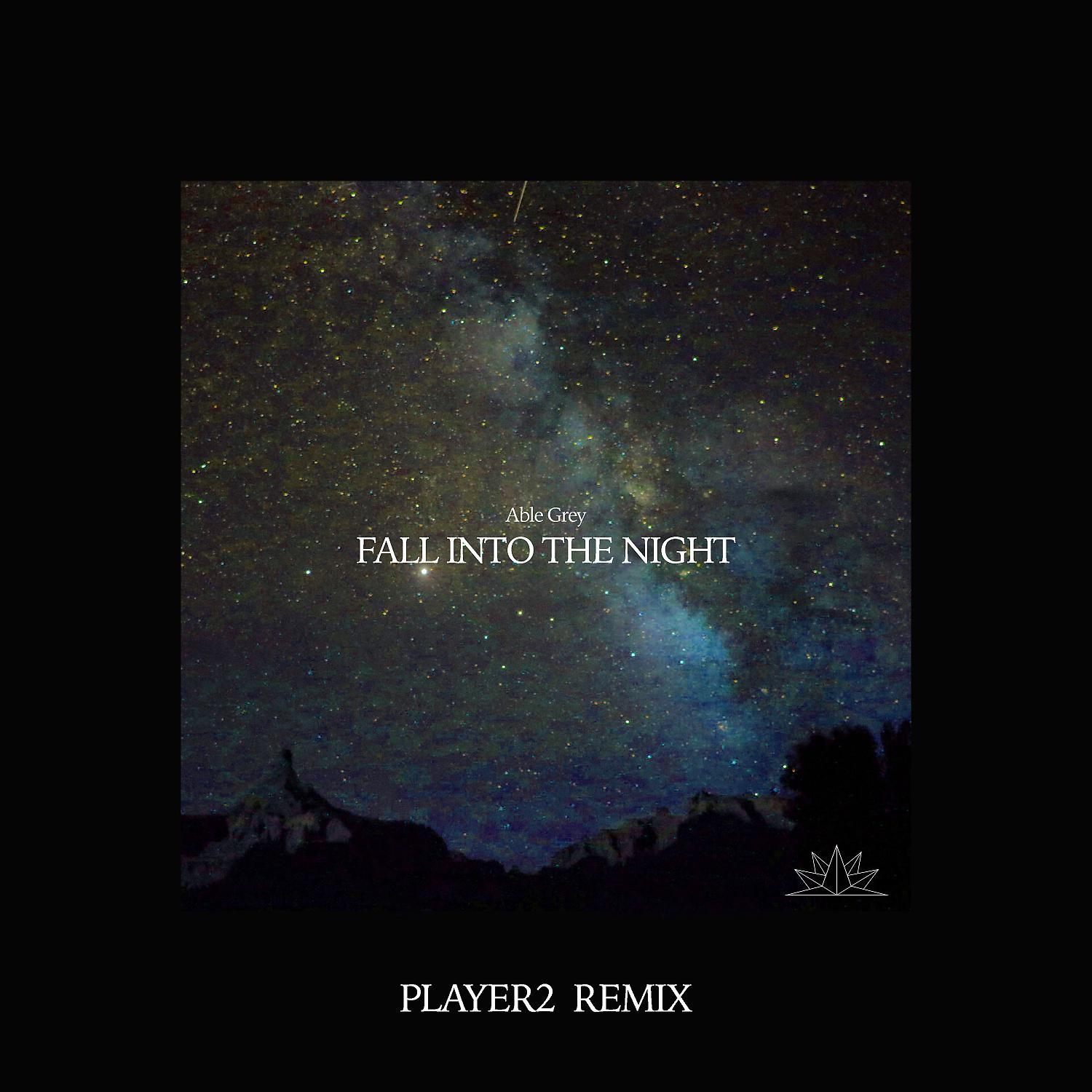 Постер альбома Fall Into The Night (Player2 Remix)