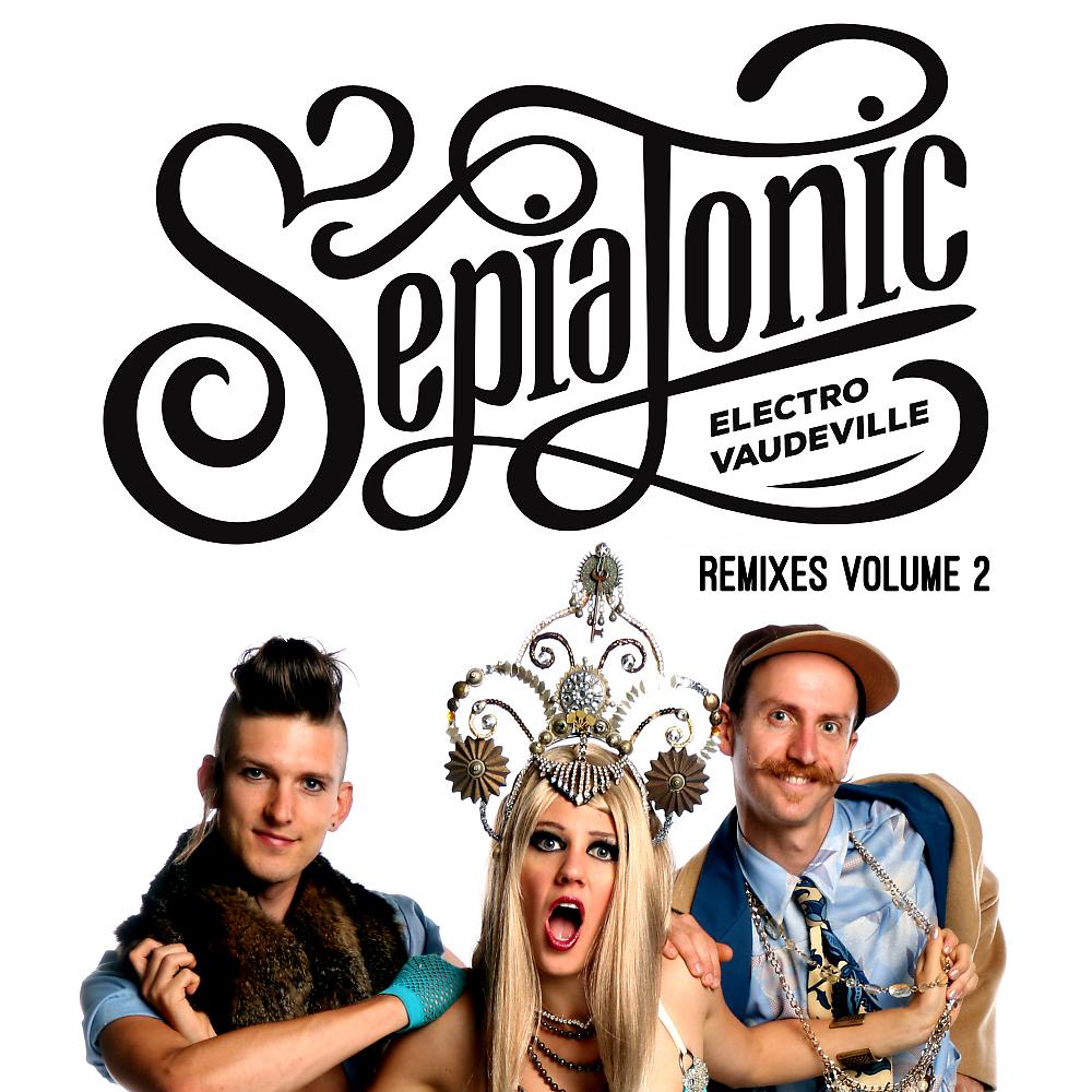Постер альбома Sepiatonic Remixes Vol. 2