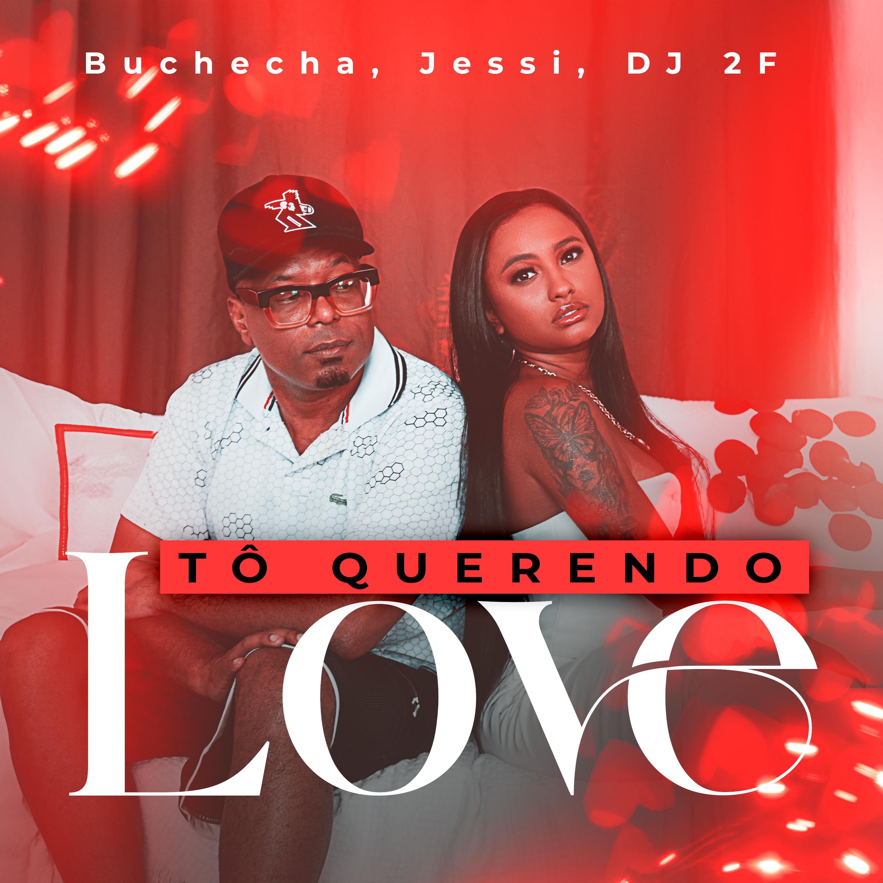 Постер альбома Tô Querendo Love