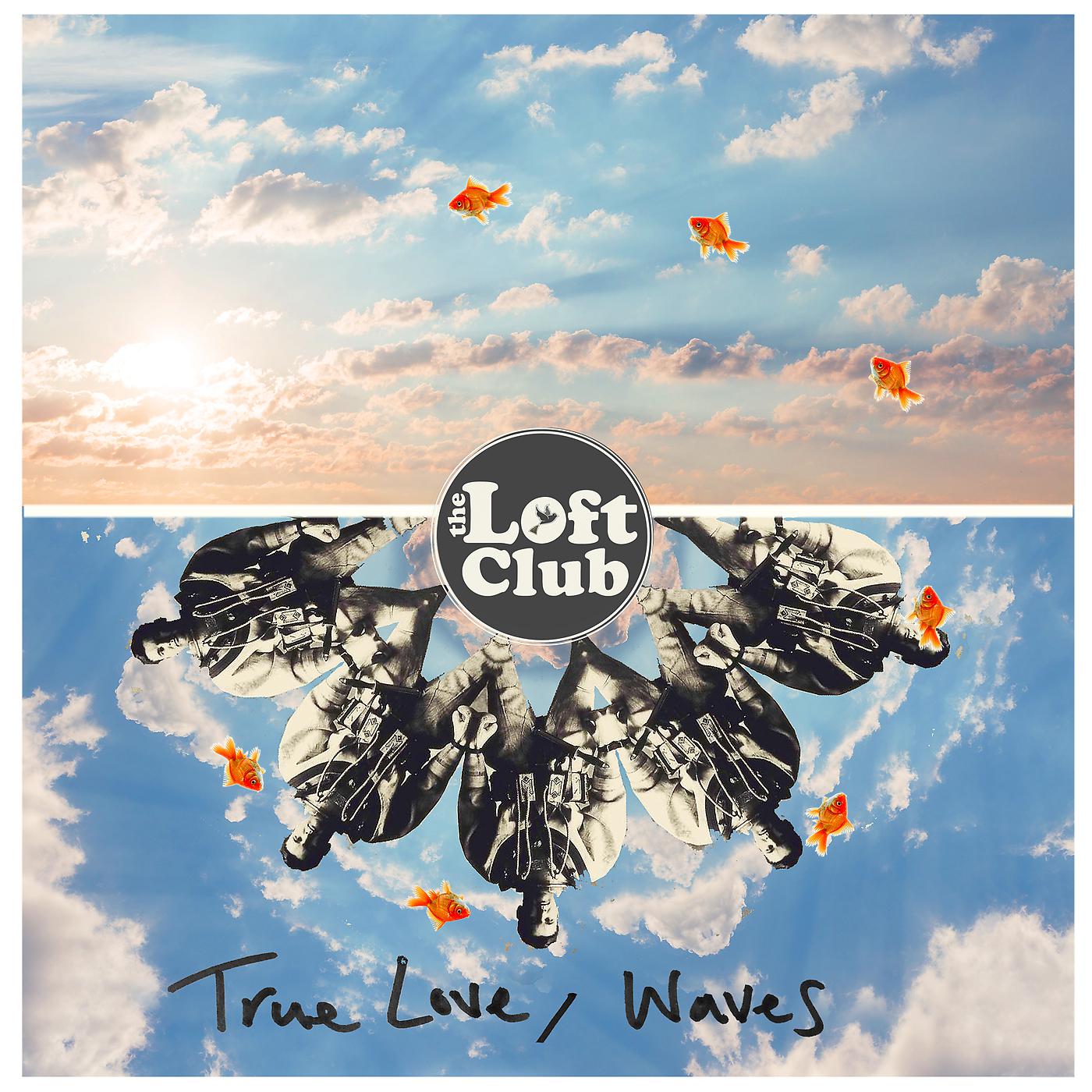 Постер альбома True Love / Waves