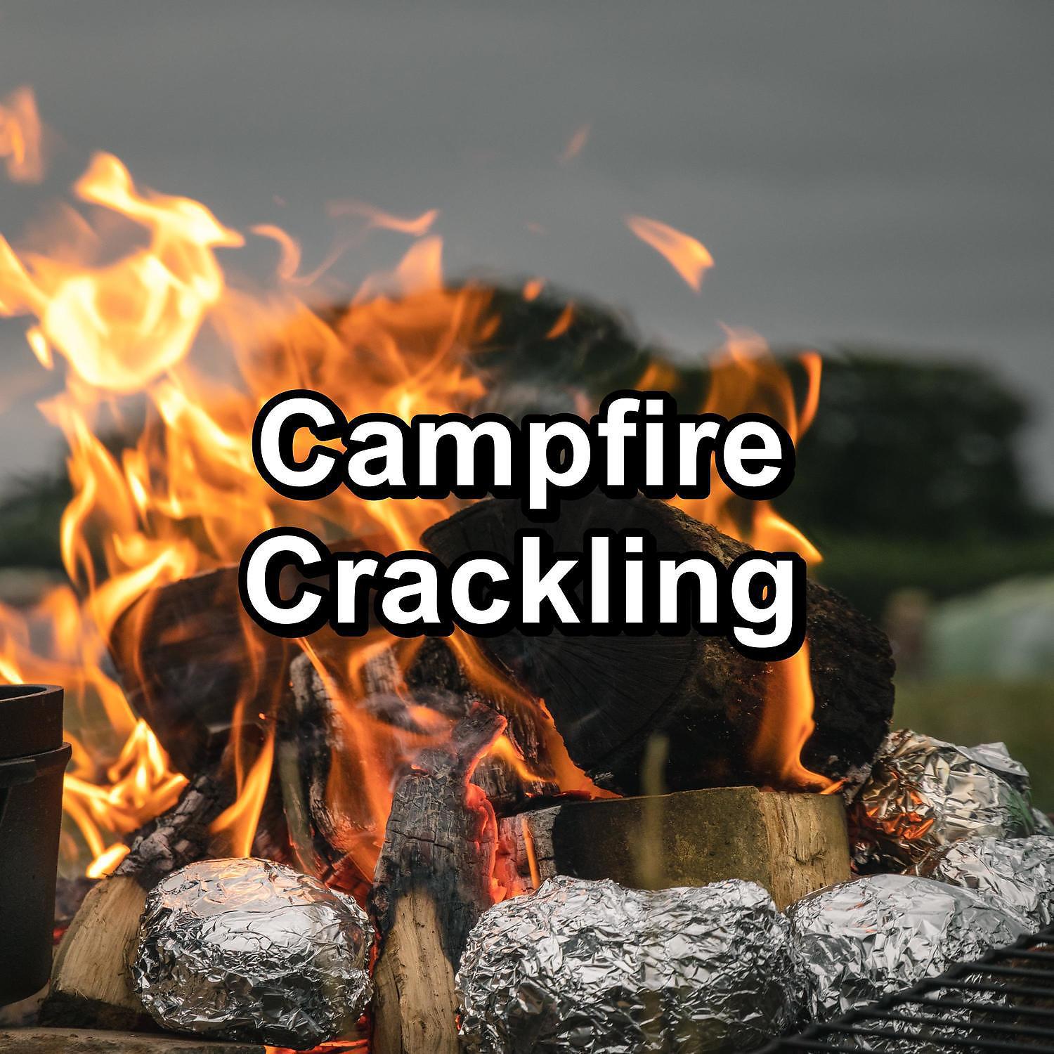 Постер альбома Campfire Crackling