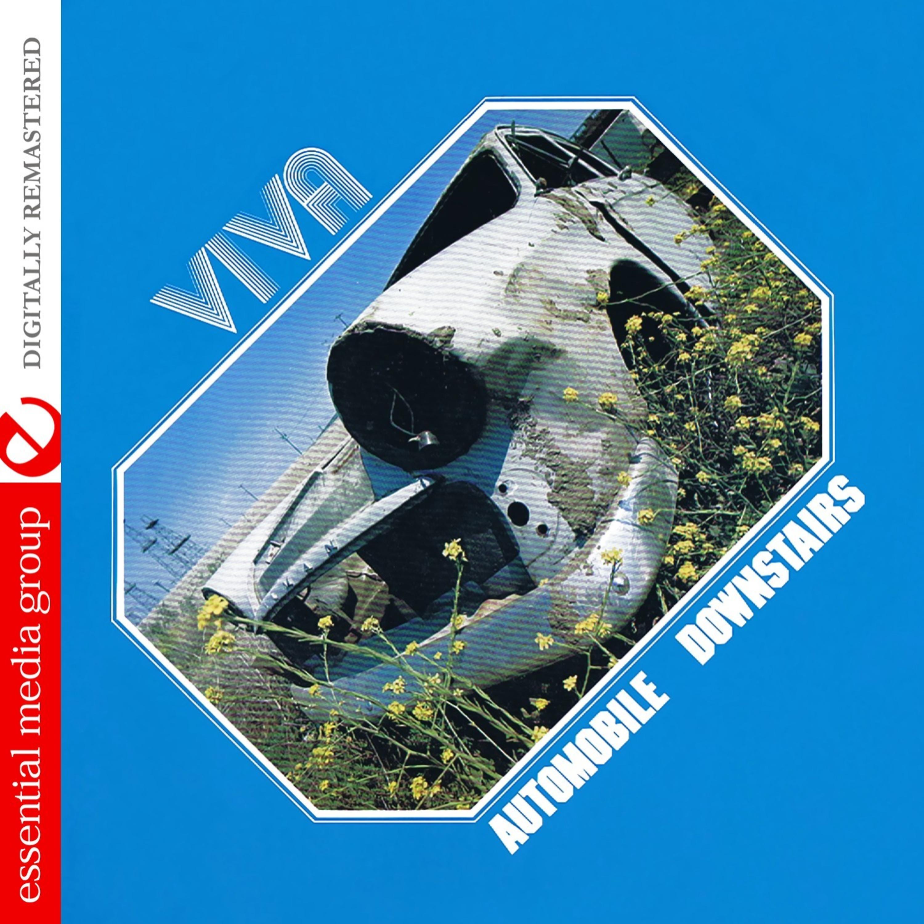 Постер альбома Automobile Downstairs (Johnny Kitchen Presents Viva) (Remastered)