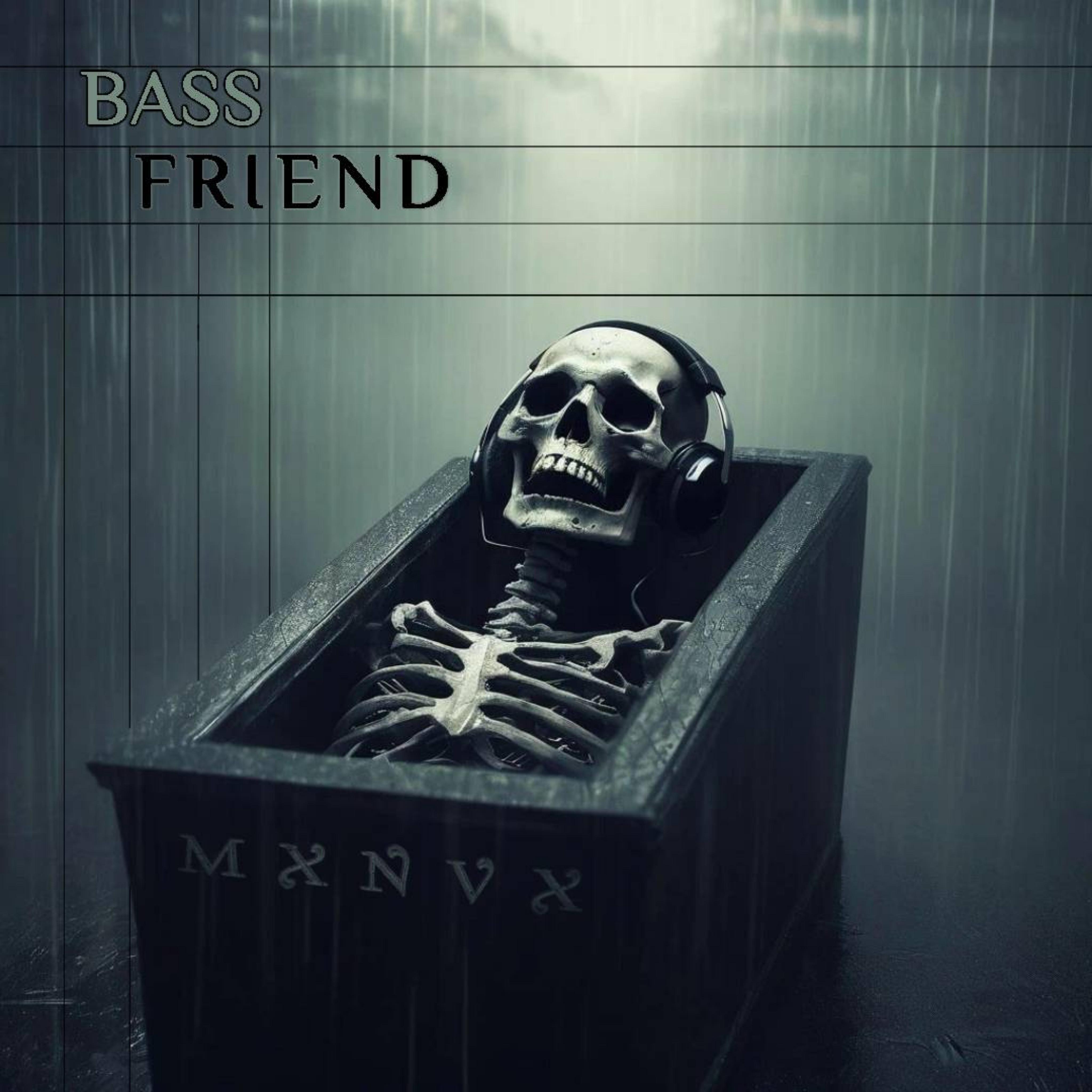 Постер альбома Bassfriend