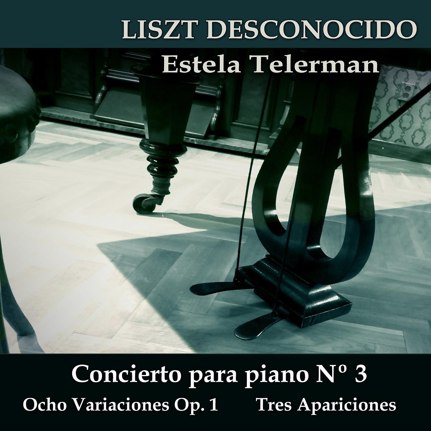 Постер альбома Liszt: Desconocido