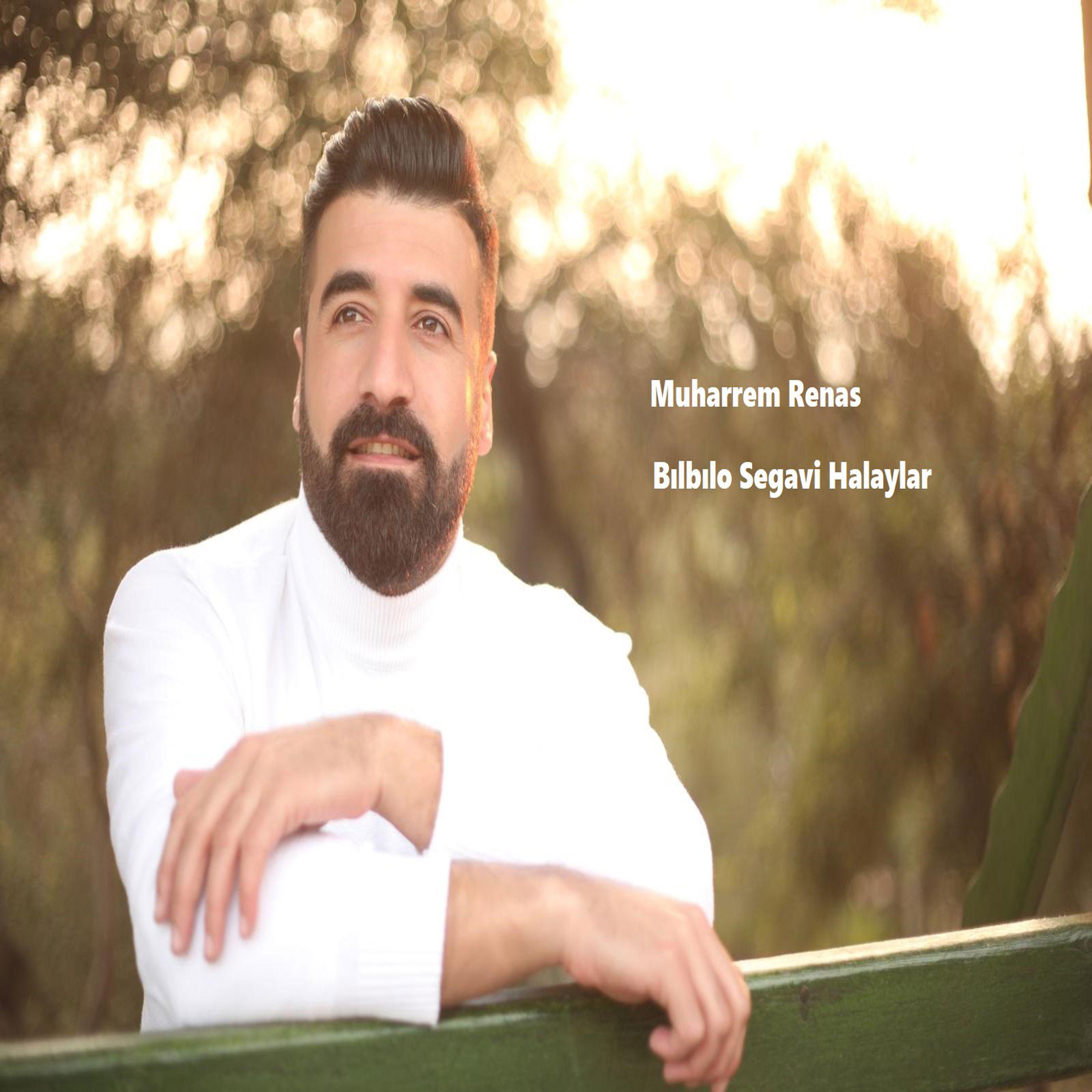Постер альбома Bılbılo Segavi Halaylar