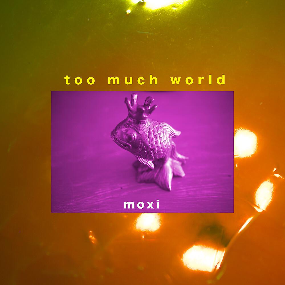 Постер альбома Too Much World