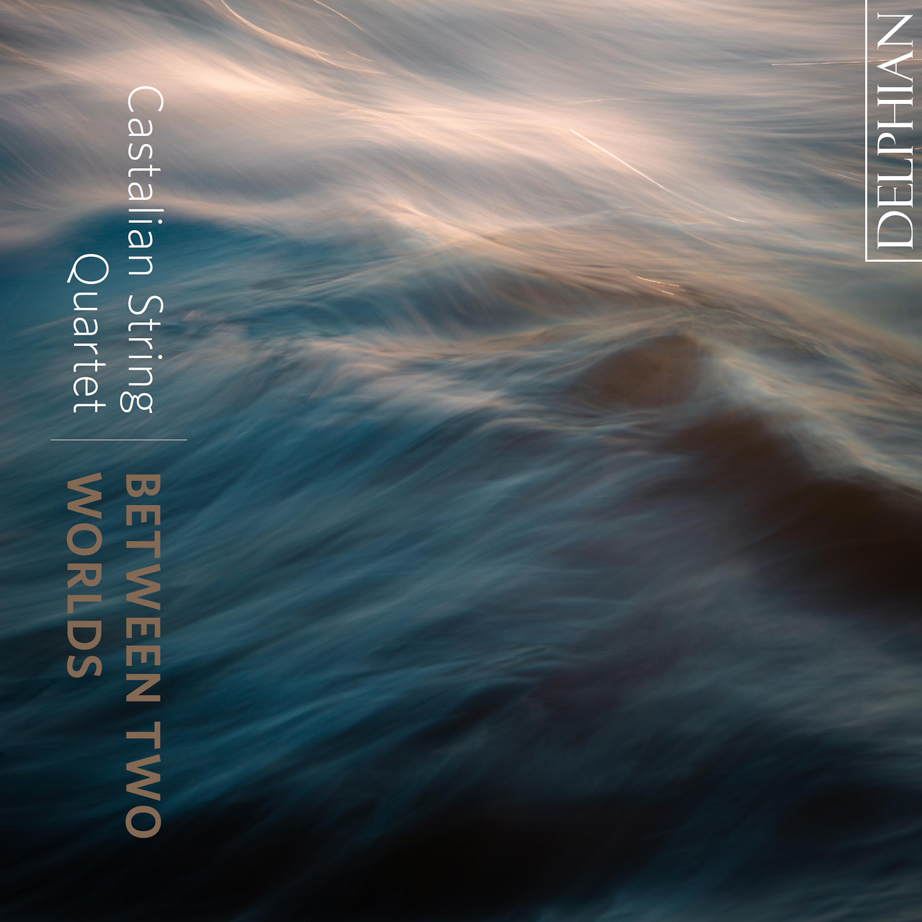 Постер альбома Come, Heavy Sleep (Arr. for String Quartet by Sini Simonen)