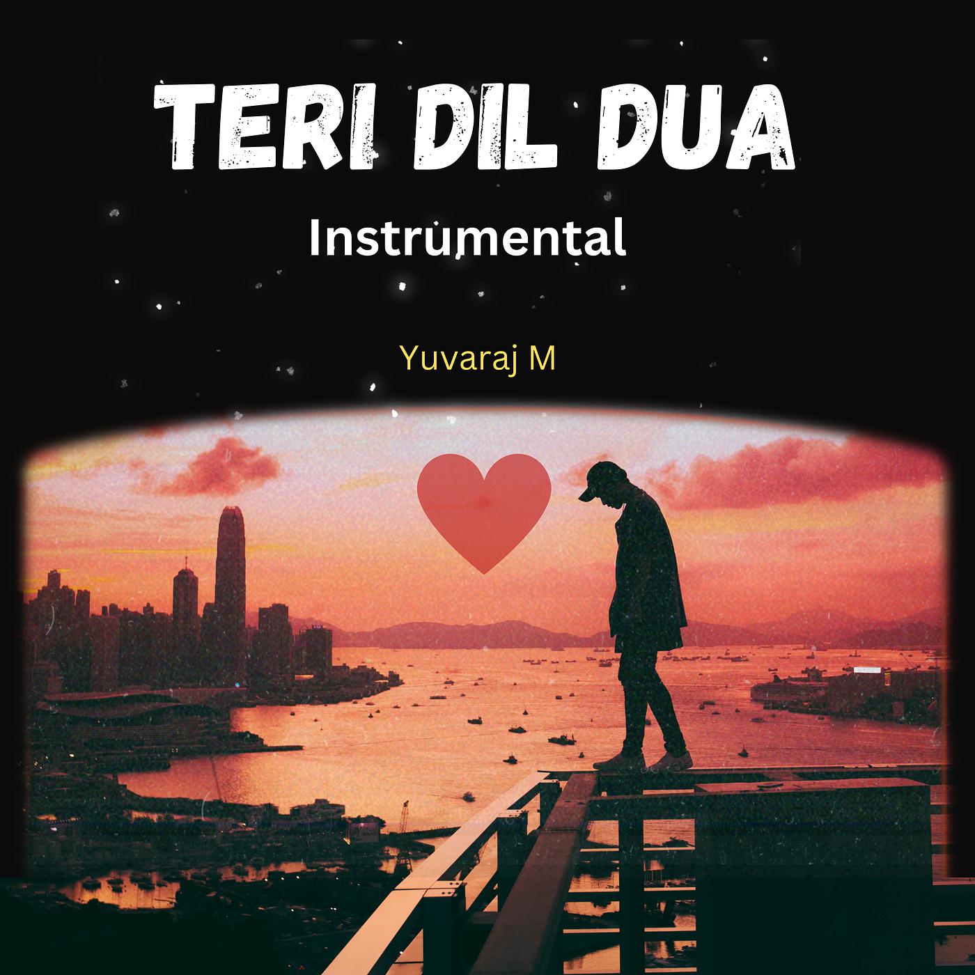 Постер альбома Teri Dil Dua (Instrumental)