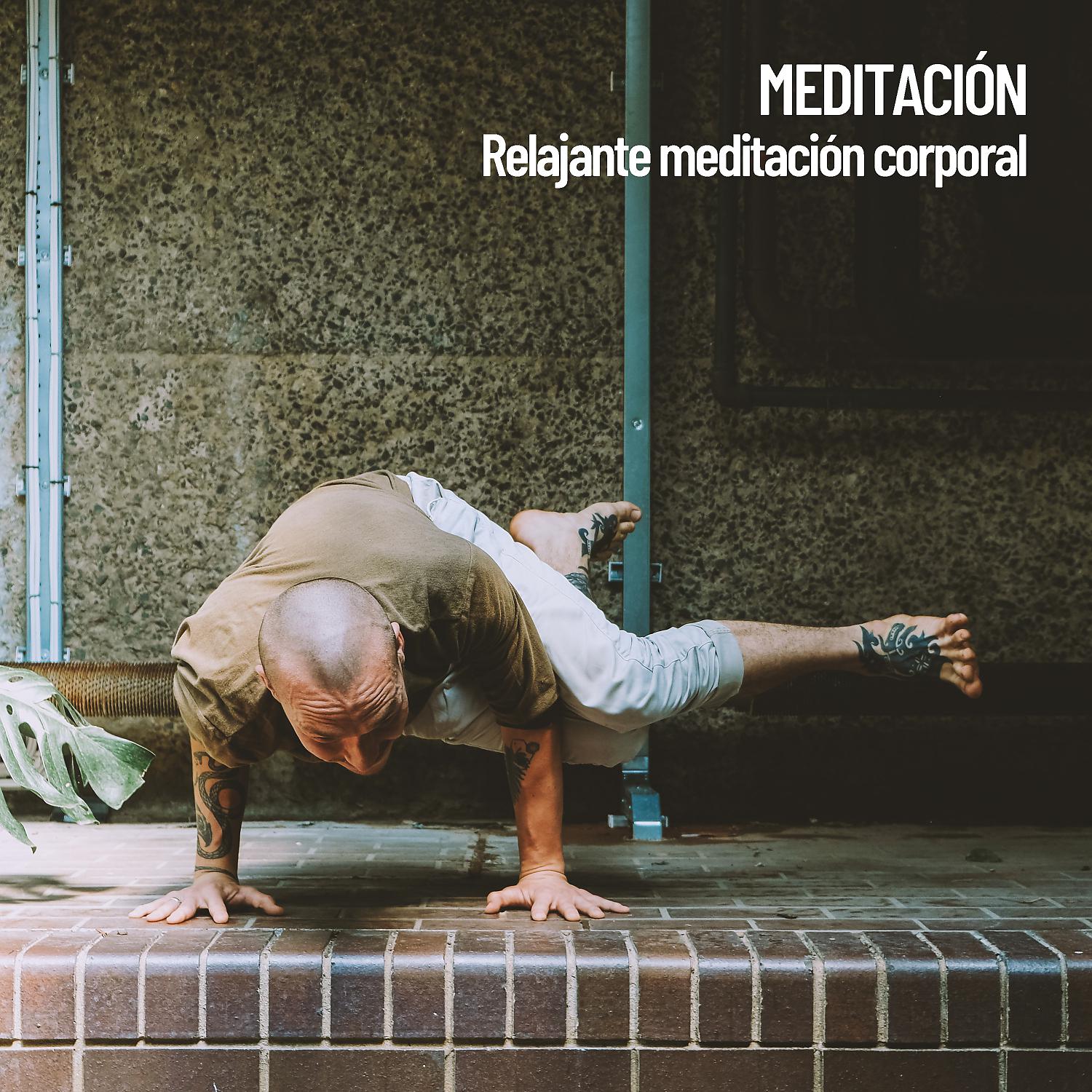 Постер альбома Meditación: Relajante meditación corporal