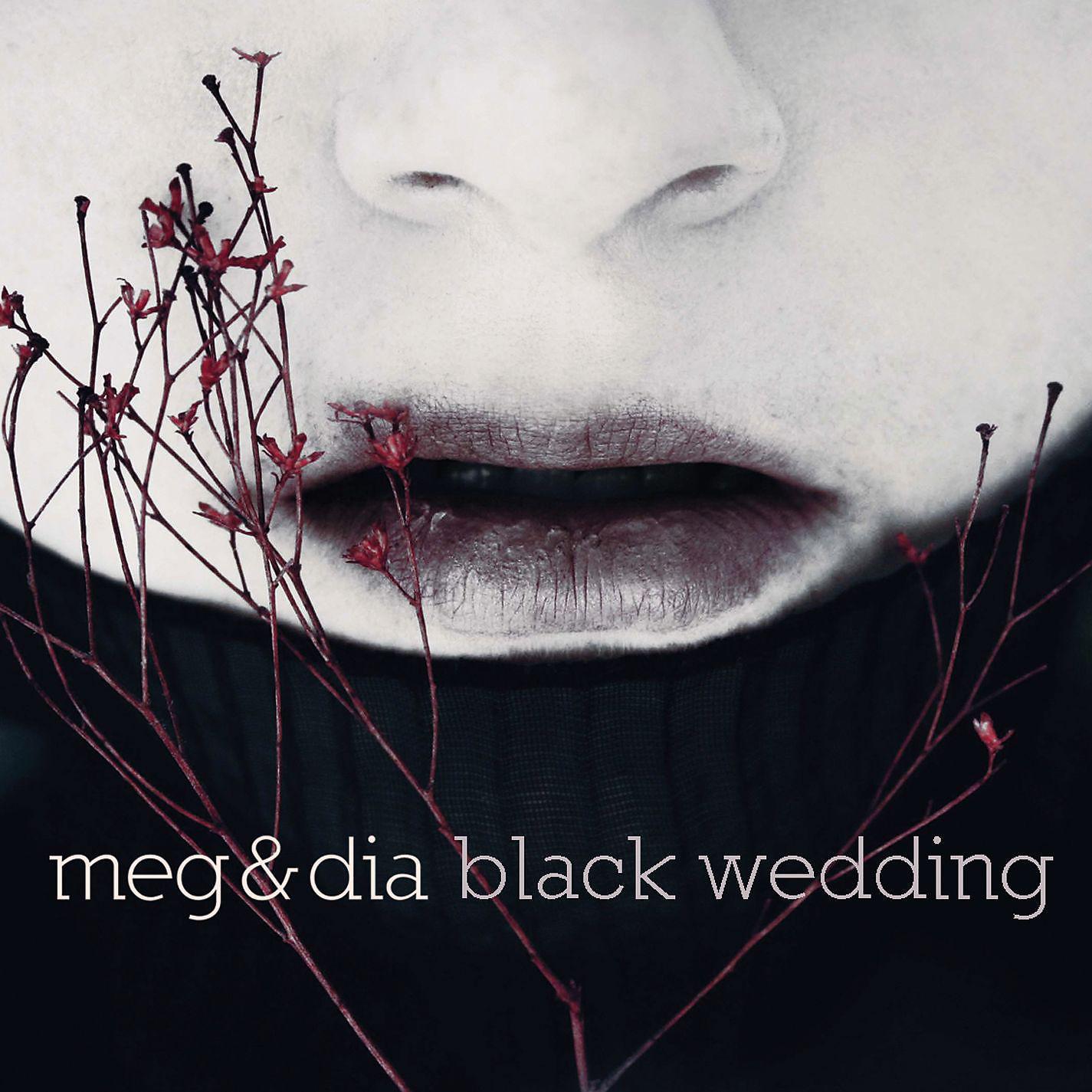 Постер альбома Black Wedding