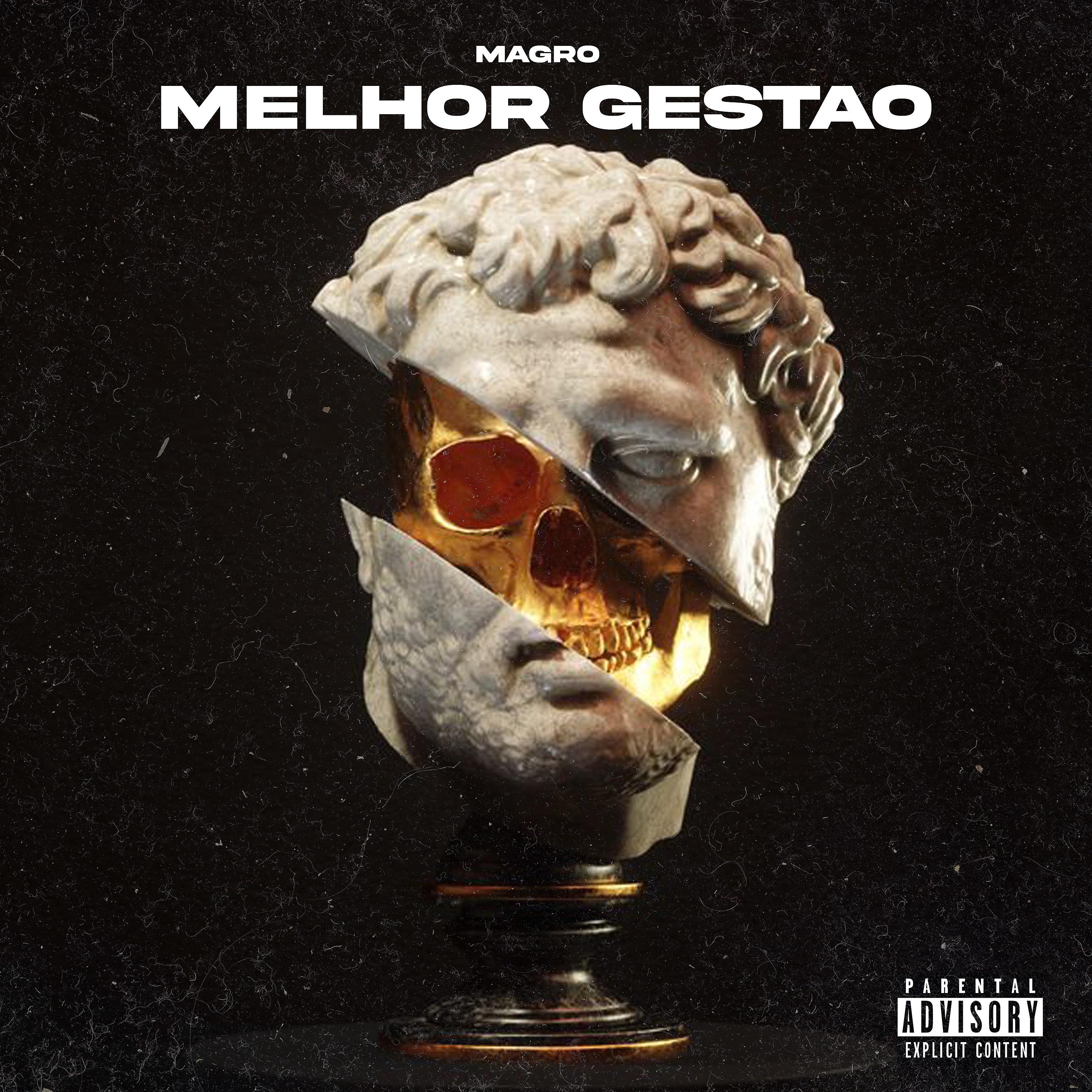 Постер альбома Melhor Gestão