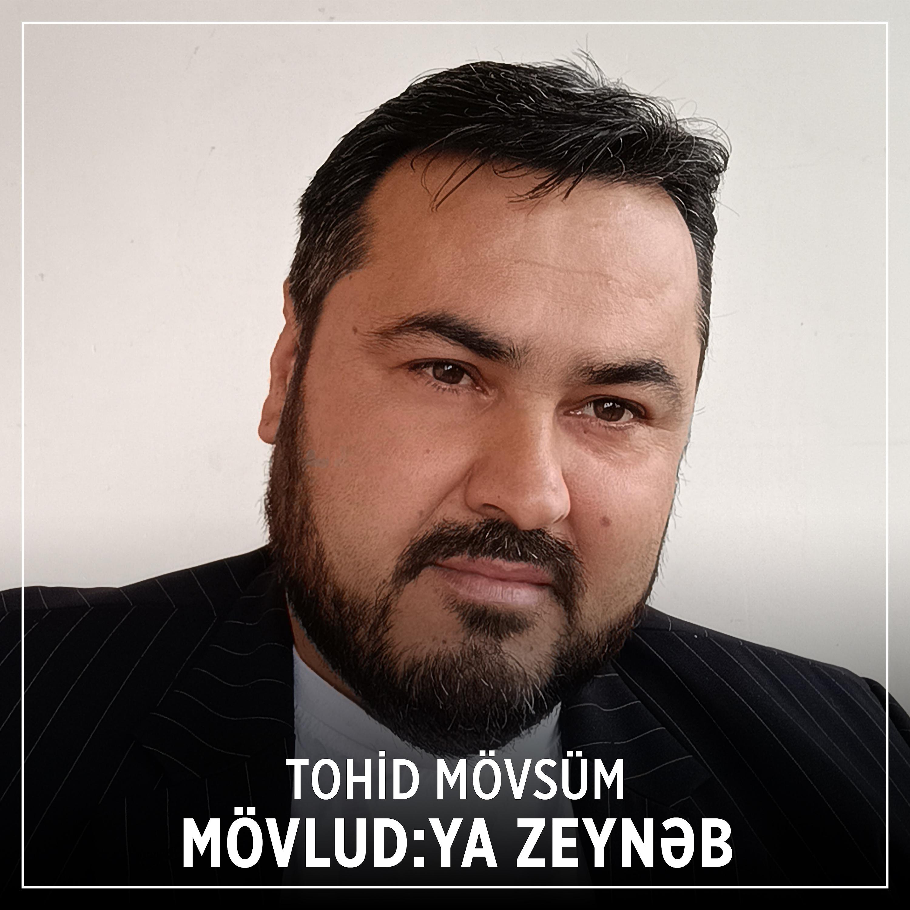 Постер альбома Mövlud:YA ZEYNƏB