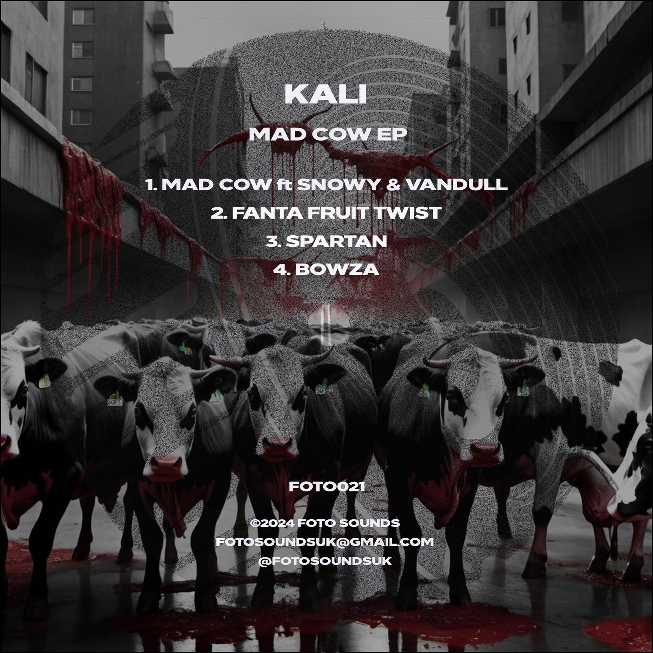 Постер альбома Mad Cow EP