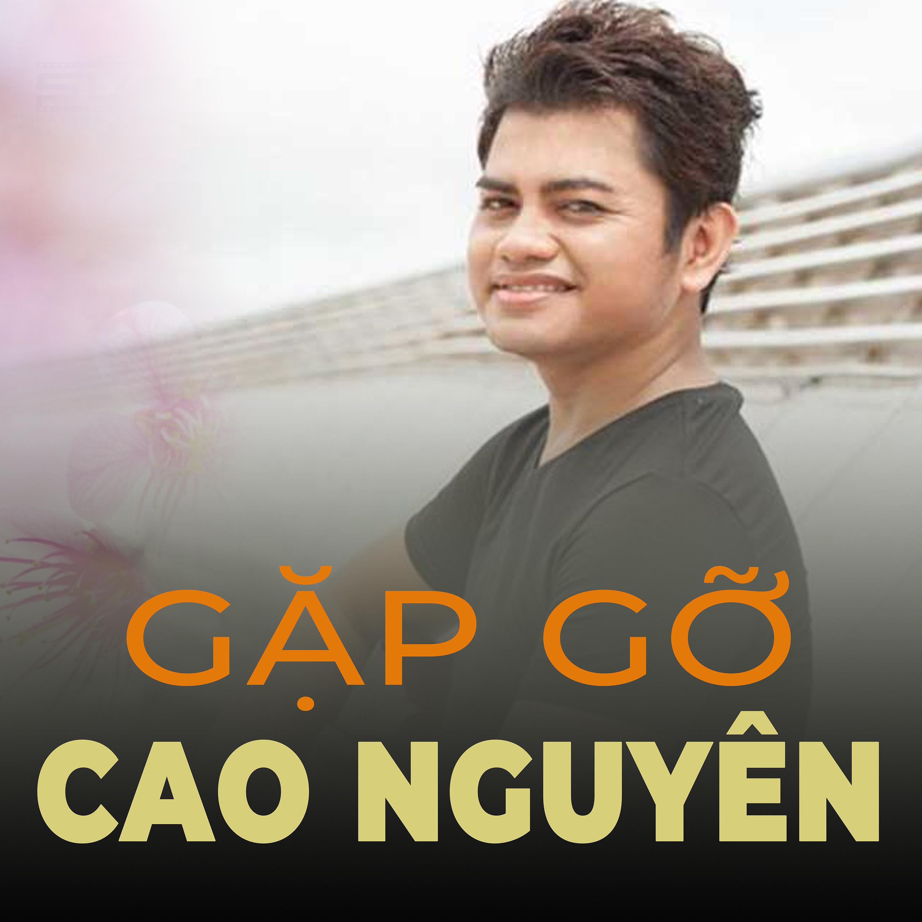 Постер альбома Gặp Gỡ Cao Nguyên