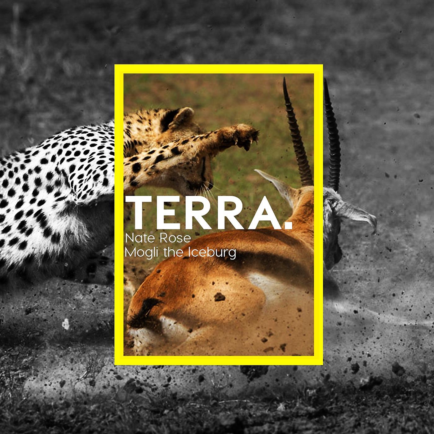 Постер альбома Terra.
