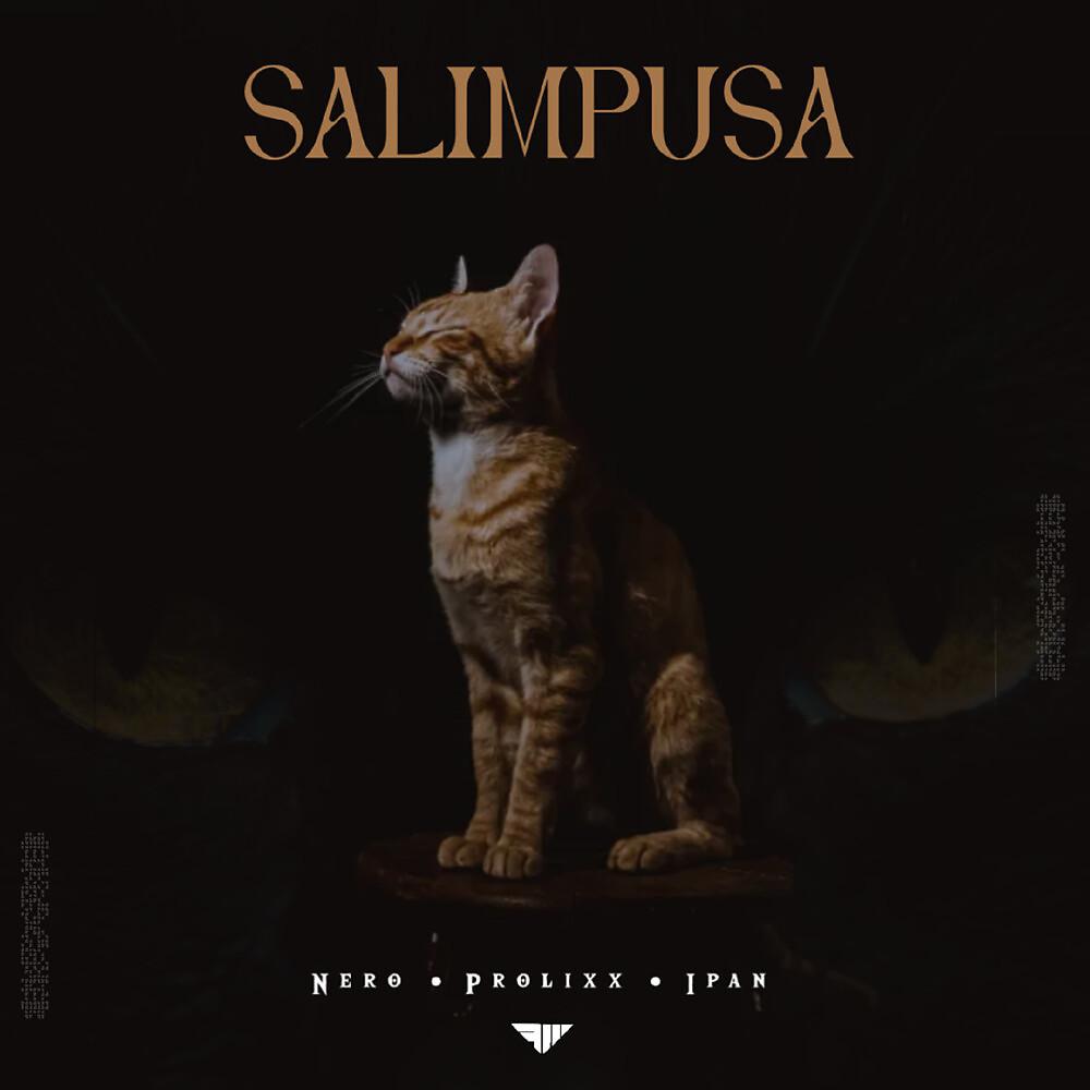 Постер альбома Salimpusa