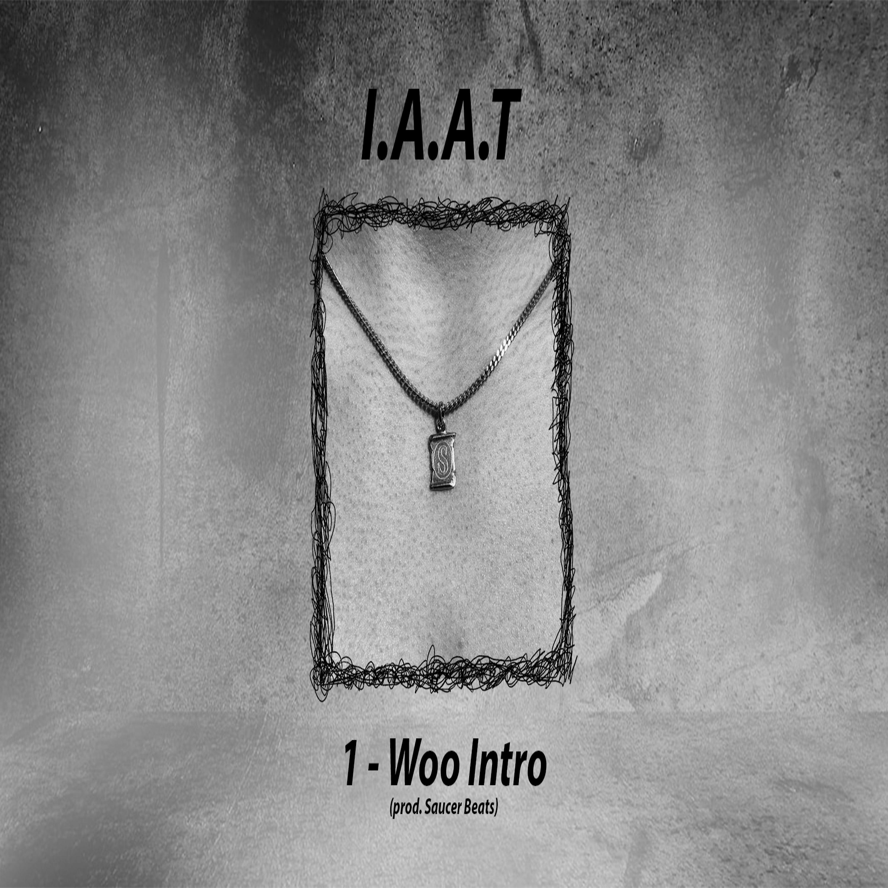 Постер альбома Woo Intro