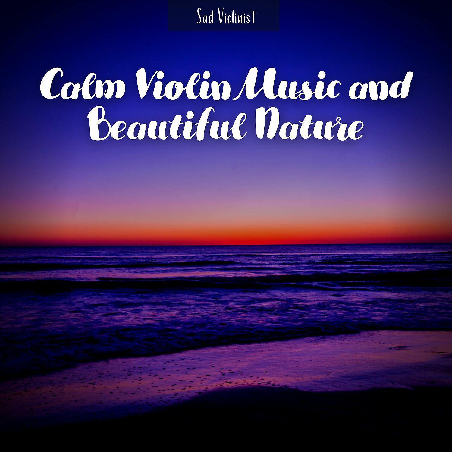 Постер альбома Calm Violin Music and Beautiful Nature