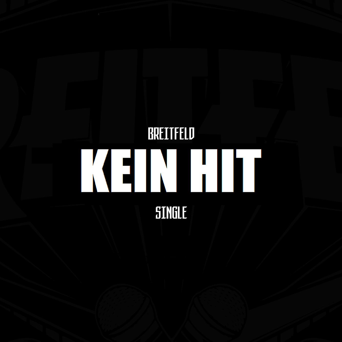 Постер альбома Kein Hit