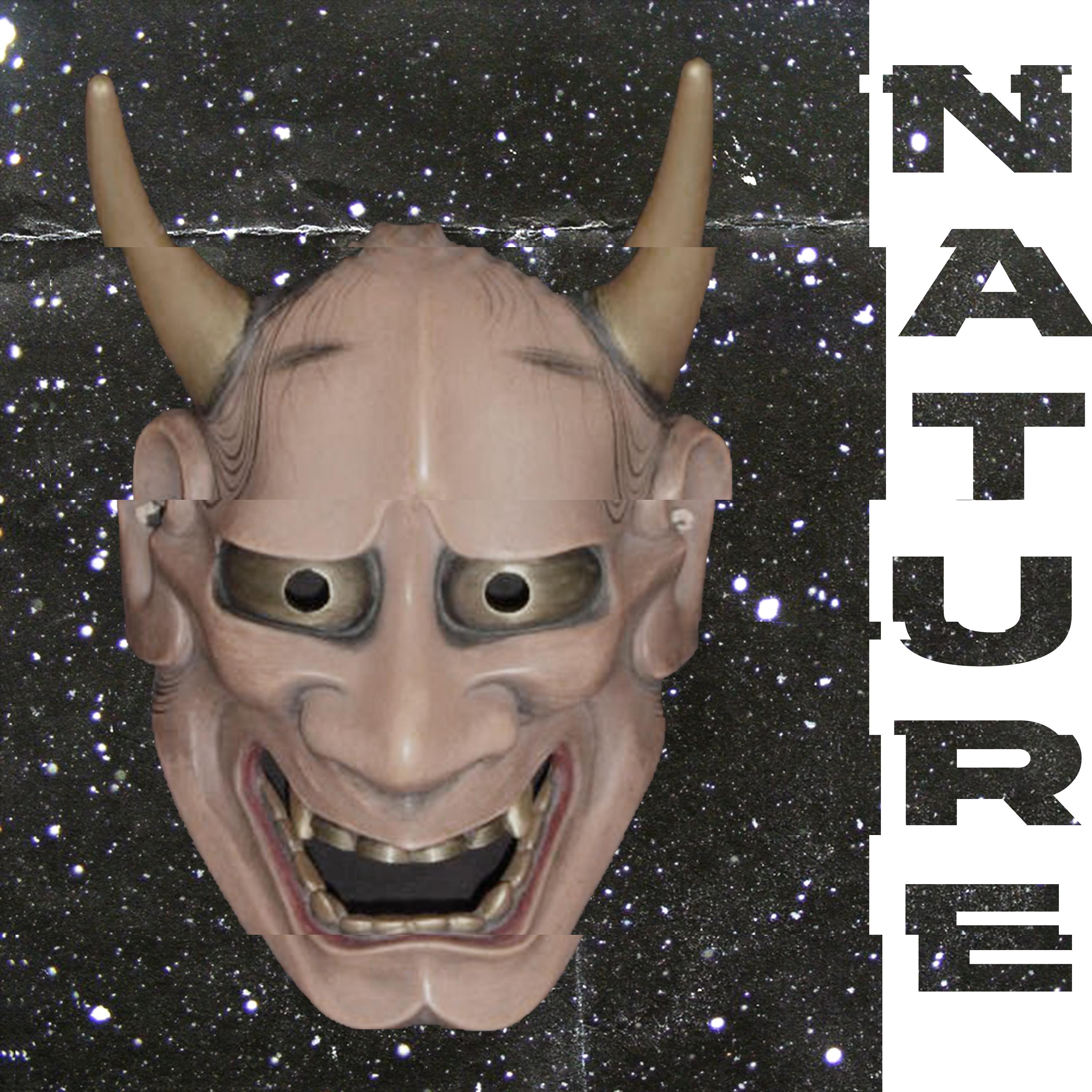 Постер альбома NATURE