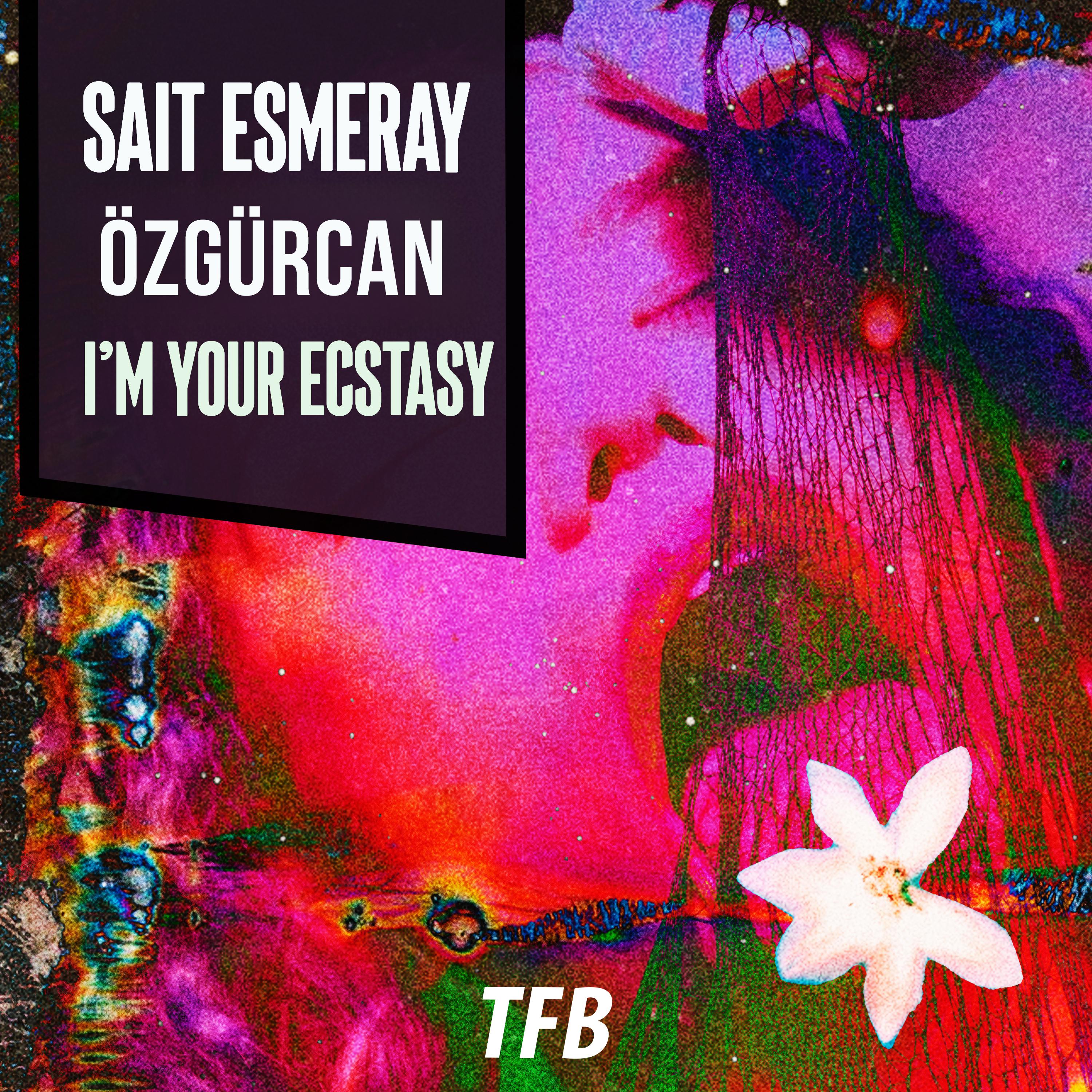 Постер альбома I'm Your Ecstasy