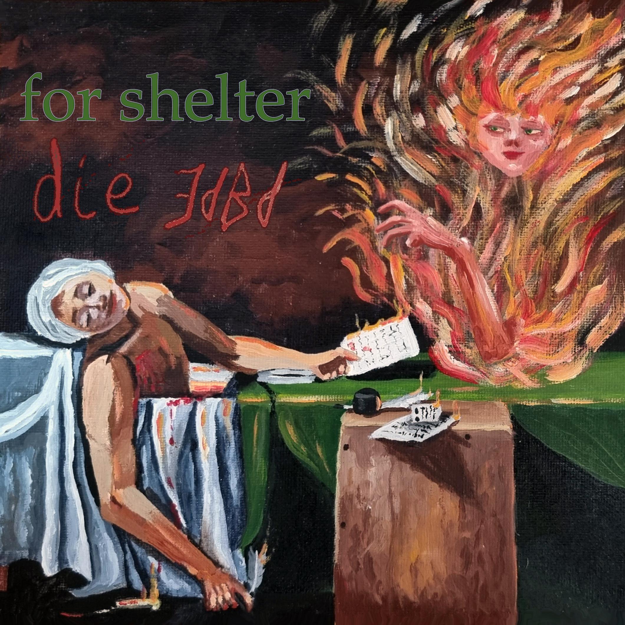 Постер альбома For Shelter