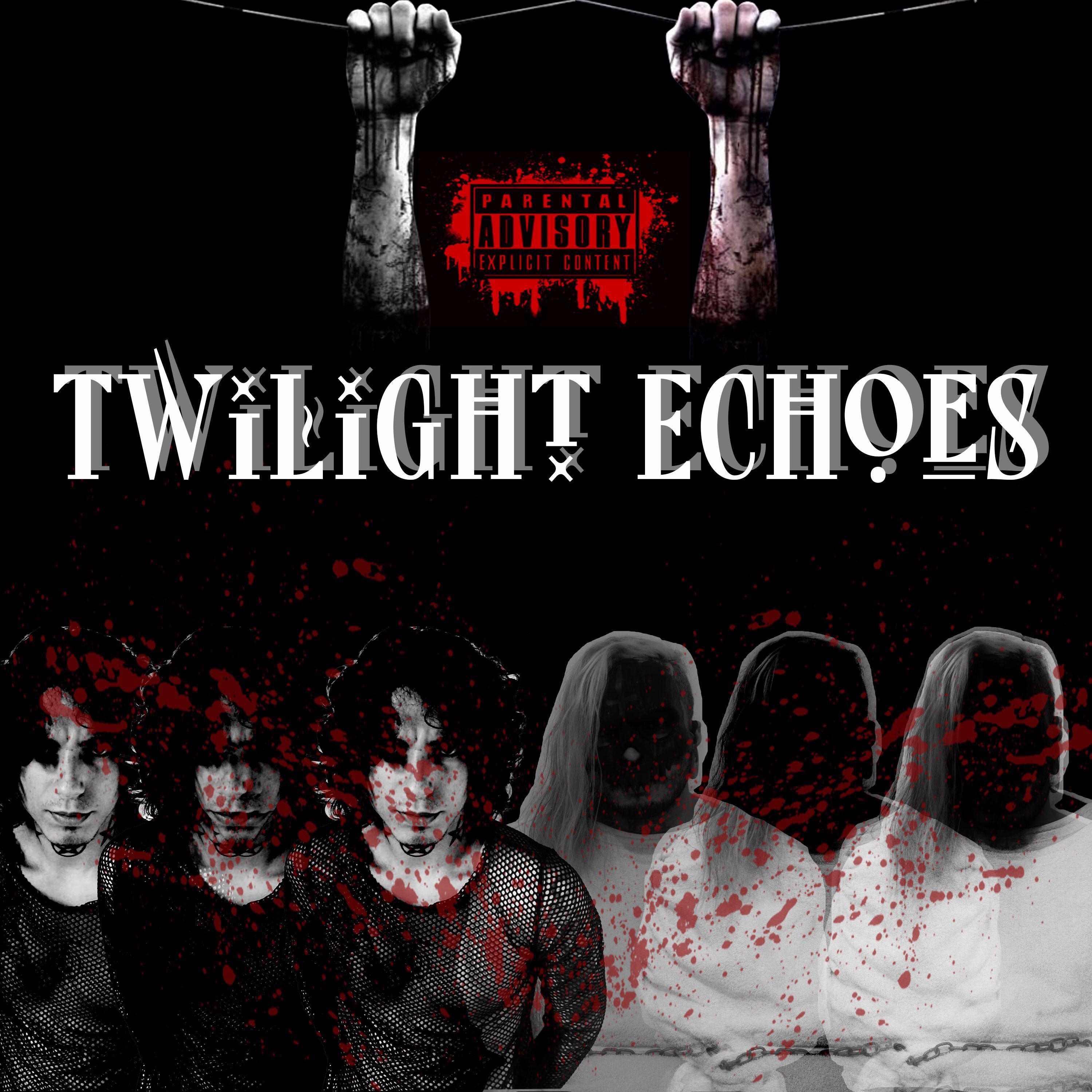 Постер альбома Twilight Echoes