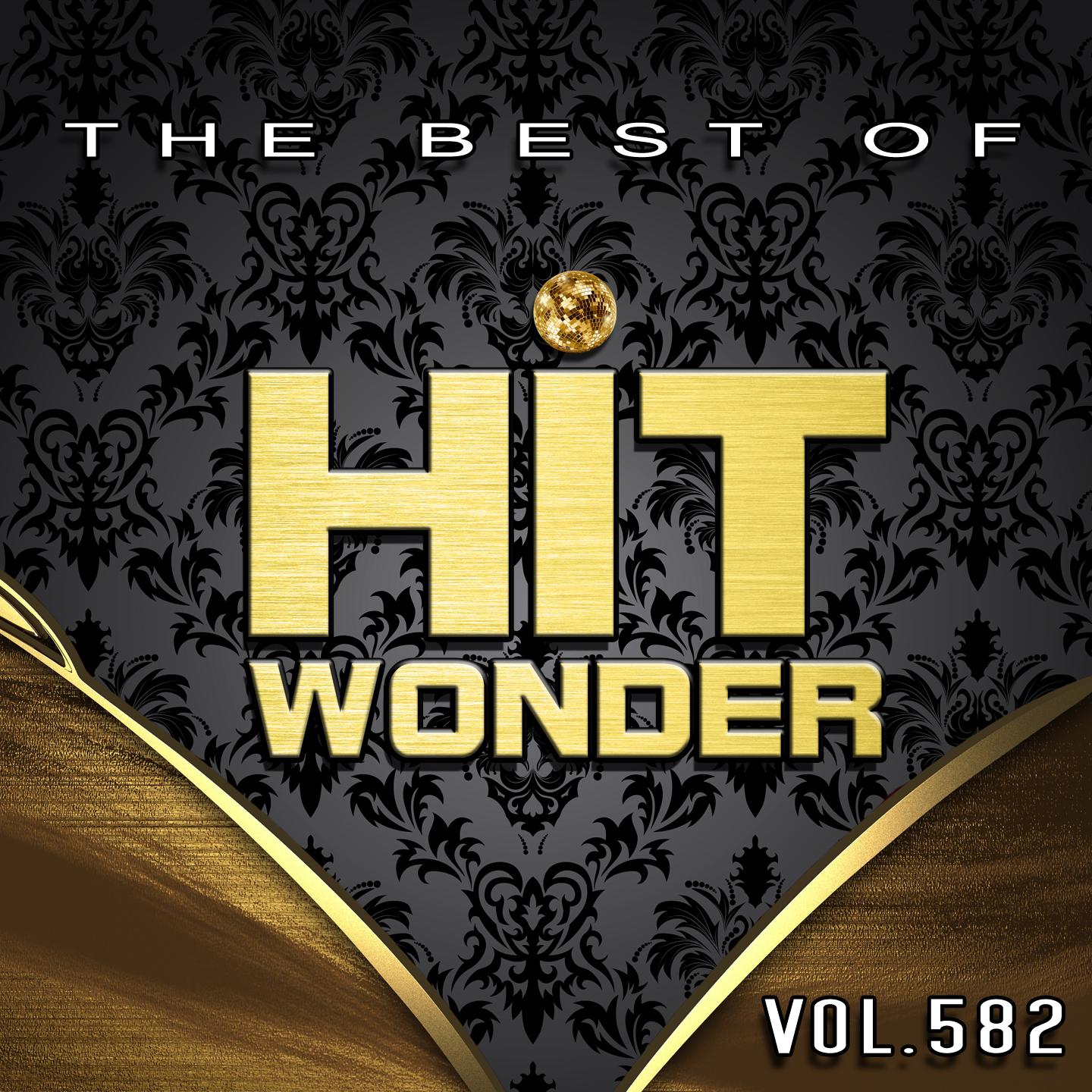 Постер альбома Hit Wonder: The Best Of, Vol. 582