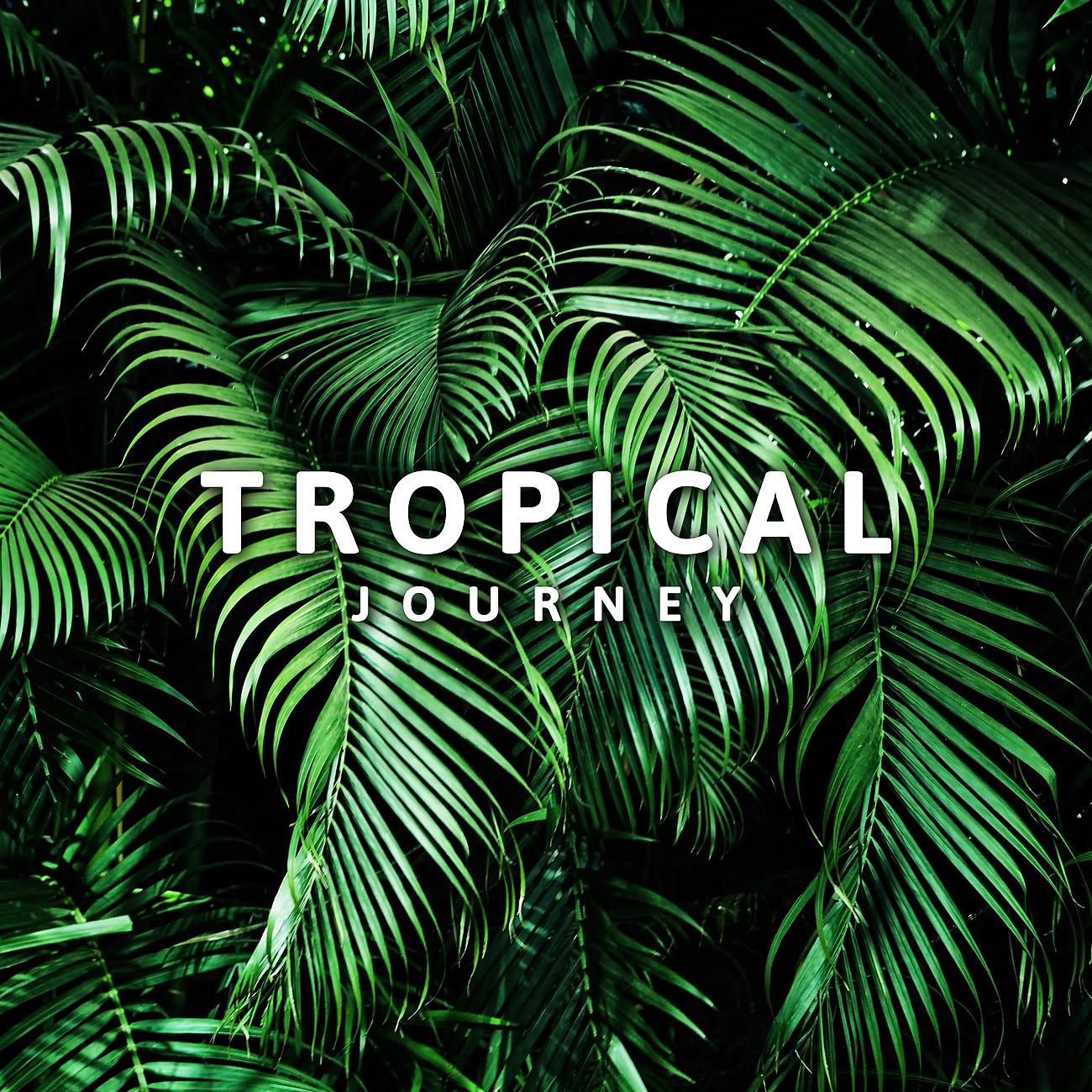 Постер альбома Tropical Journey