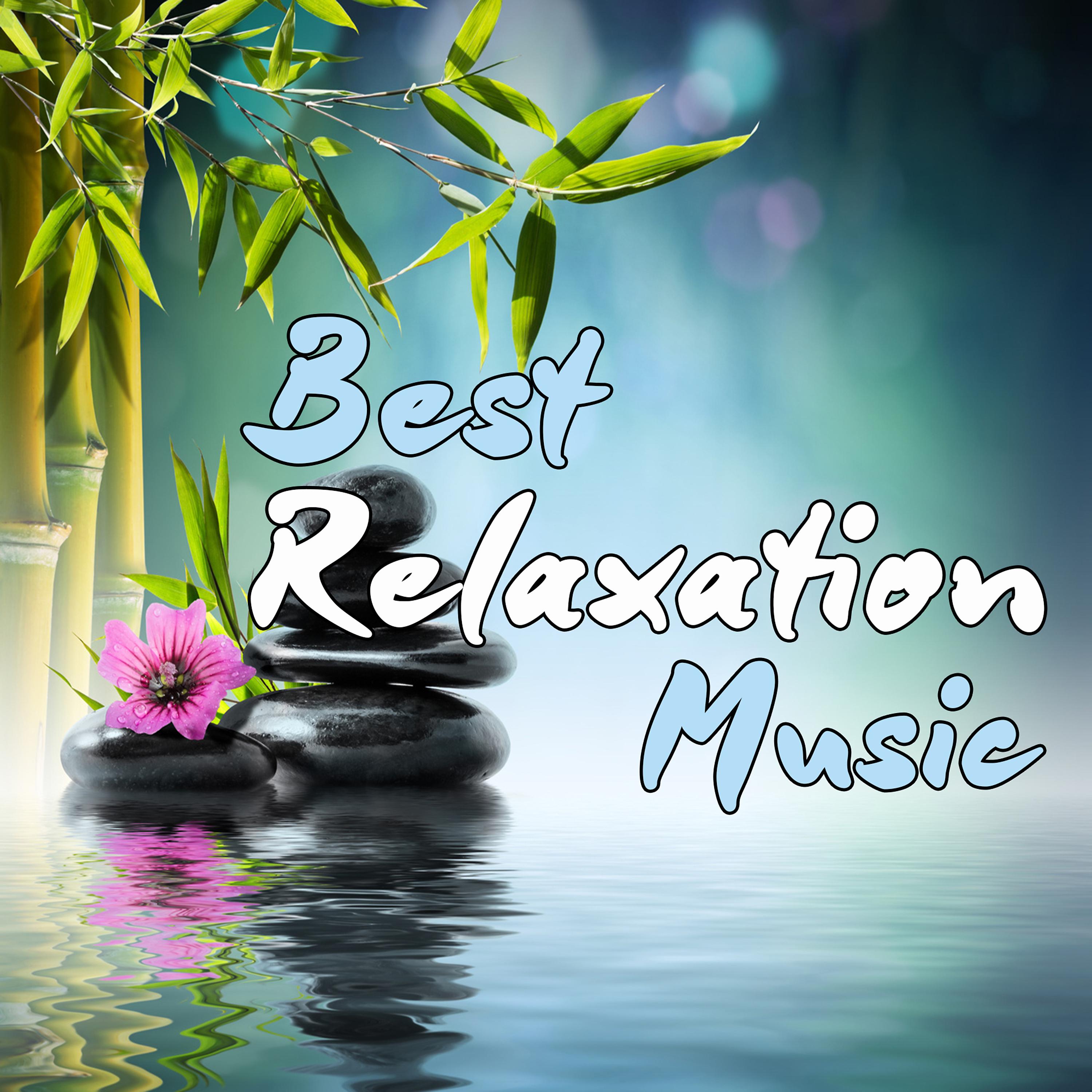 Постер альбома Best Relaxation Music