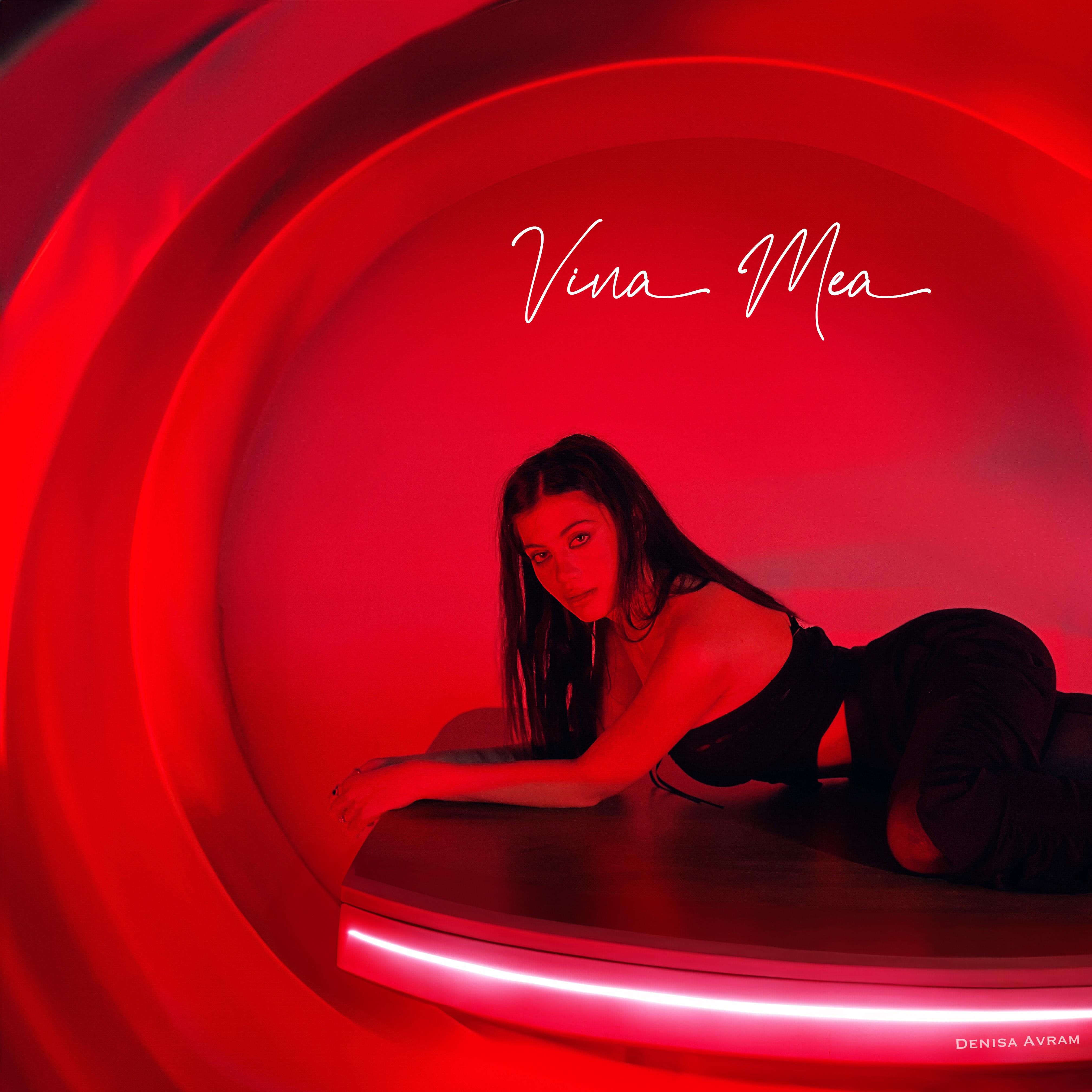 Постер альбома Vina Mea