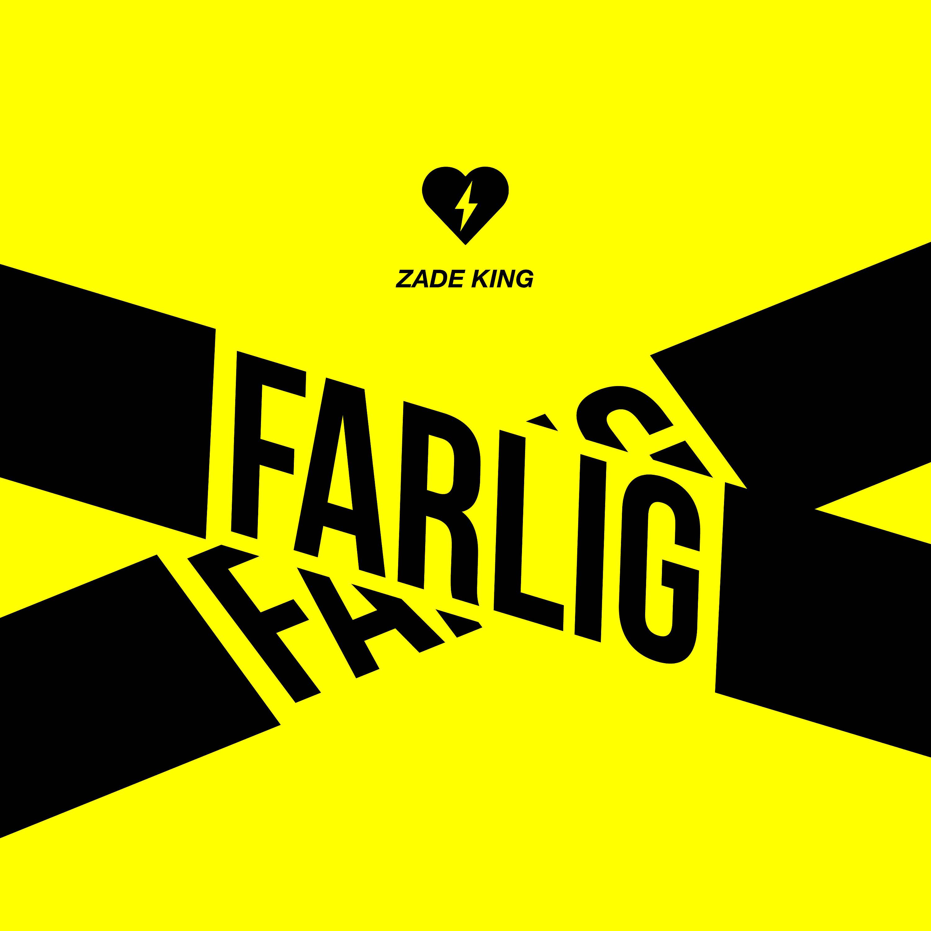 Постер альбома Farlig