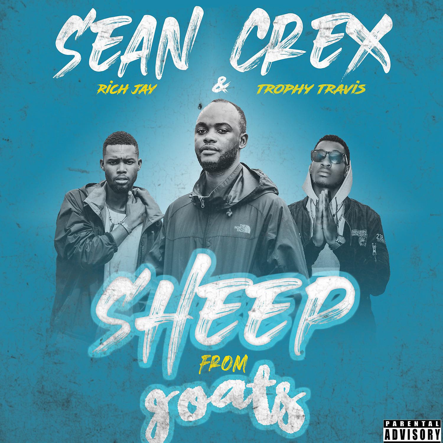 Постер альбома Sheep from Goats