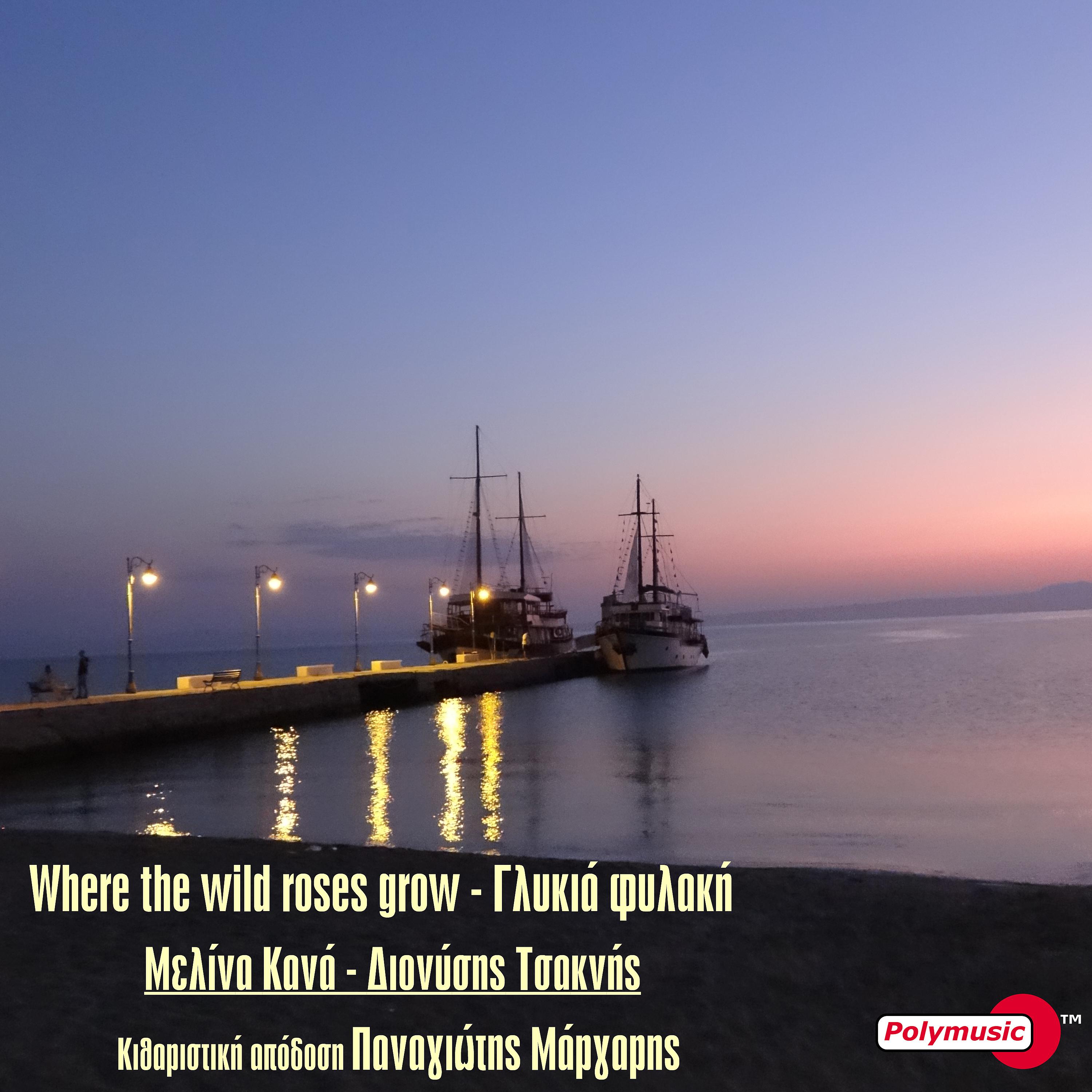 Постер альбома Where The Wild Roses Grow - Glykia Fylaki