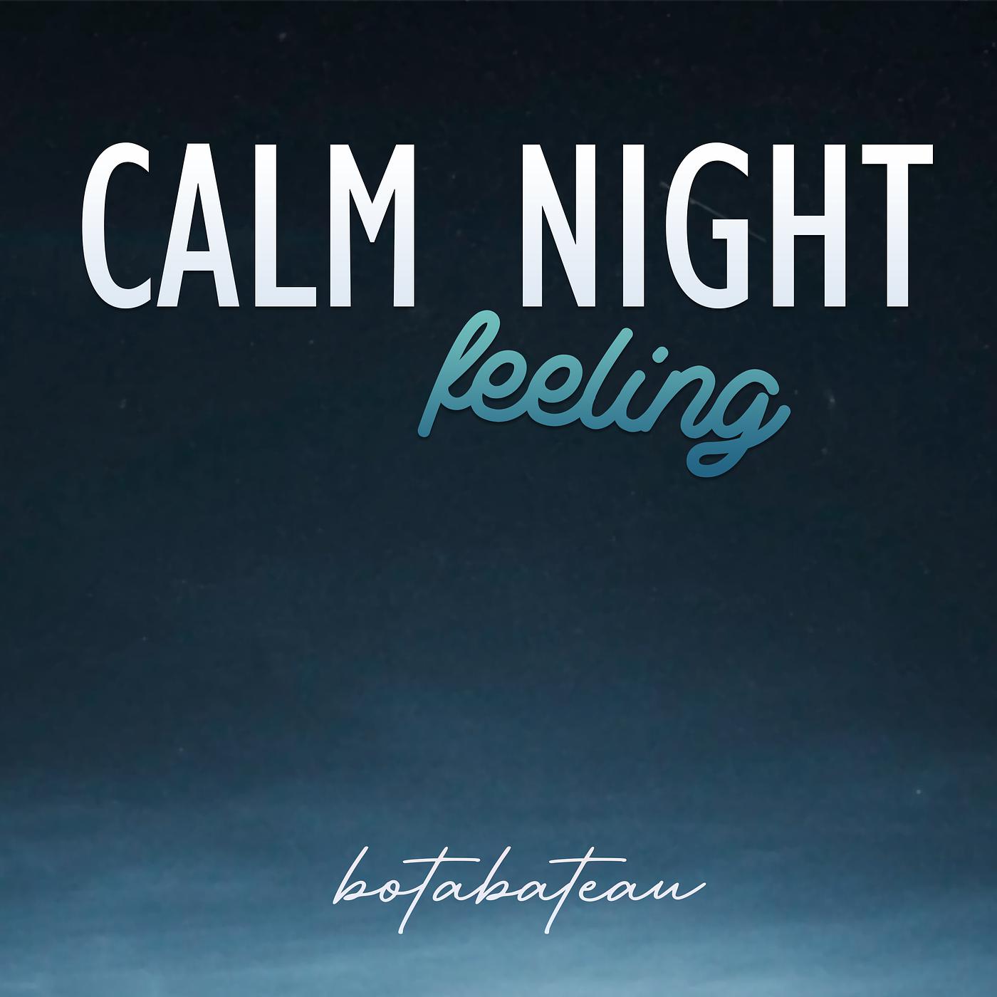 Постер альбома Calm Night Feeling