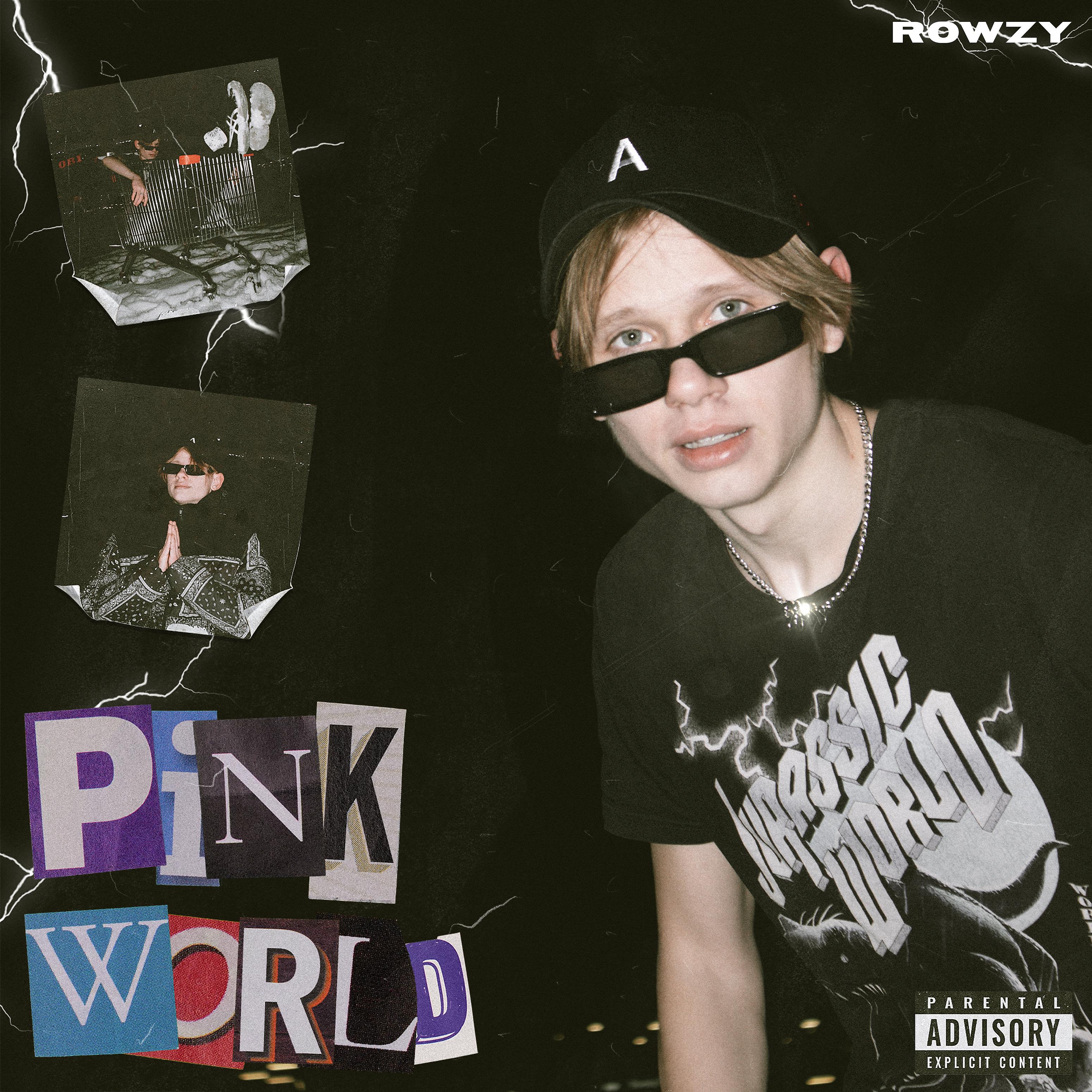 Постер альбома Pink World