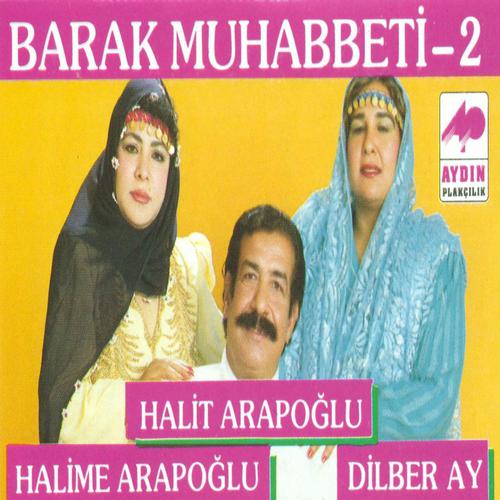 Постер альбома Barak Muhabbeti, Vol. 2