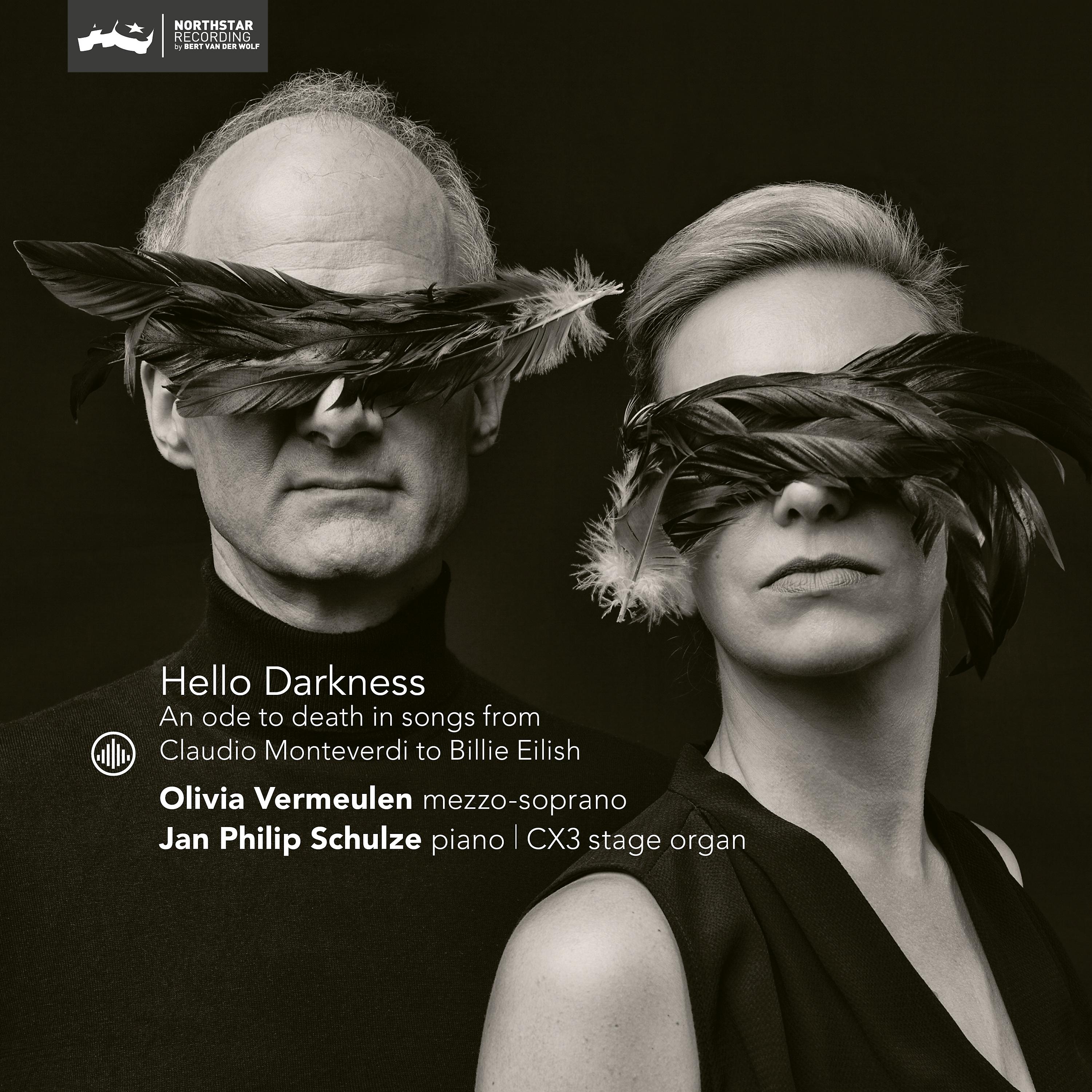 Постер альбома Hello Darkness