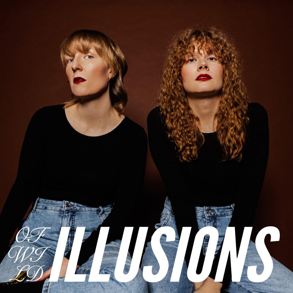 Постер альбома Illusions
