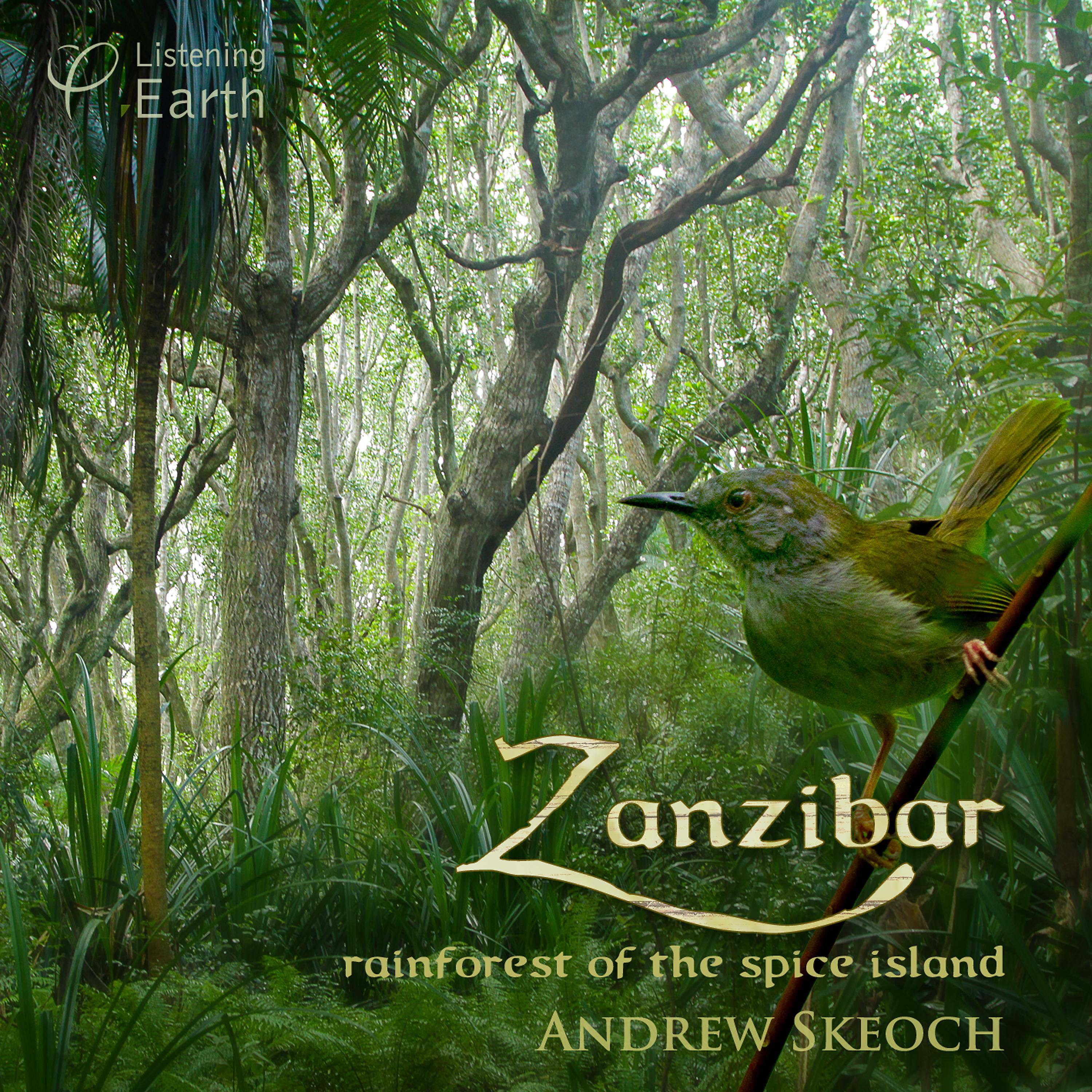 Постер альбома Zanzibar - Rainforest of the Spice Island