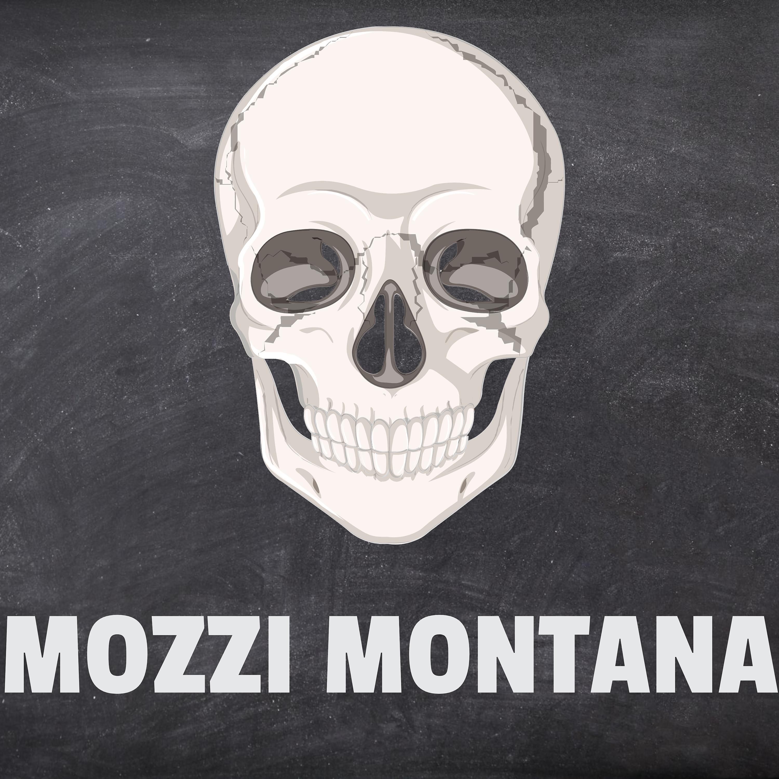 Постер альбома MOZZI MONTANA