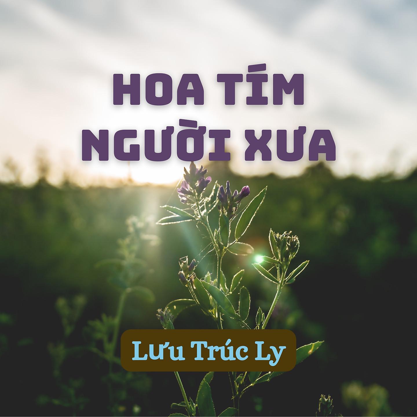 Постер альбома Hoa Tím Người Xưa