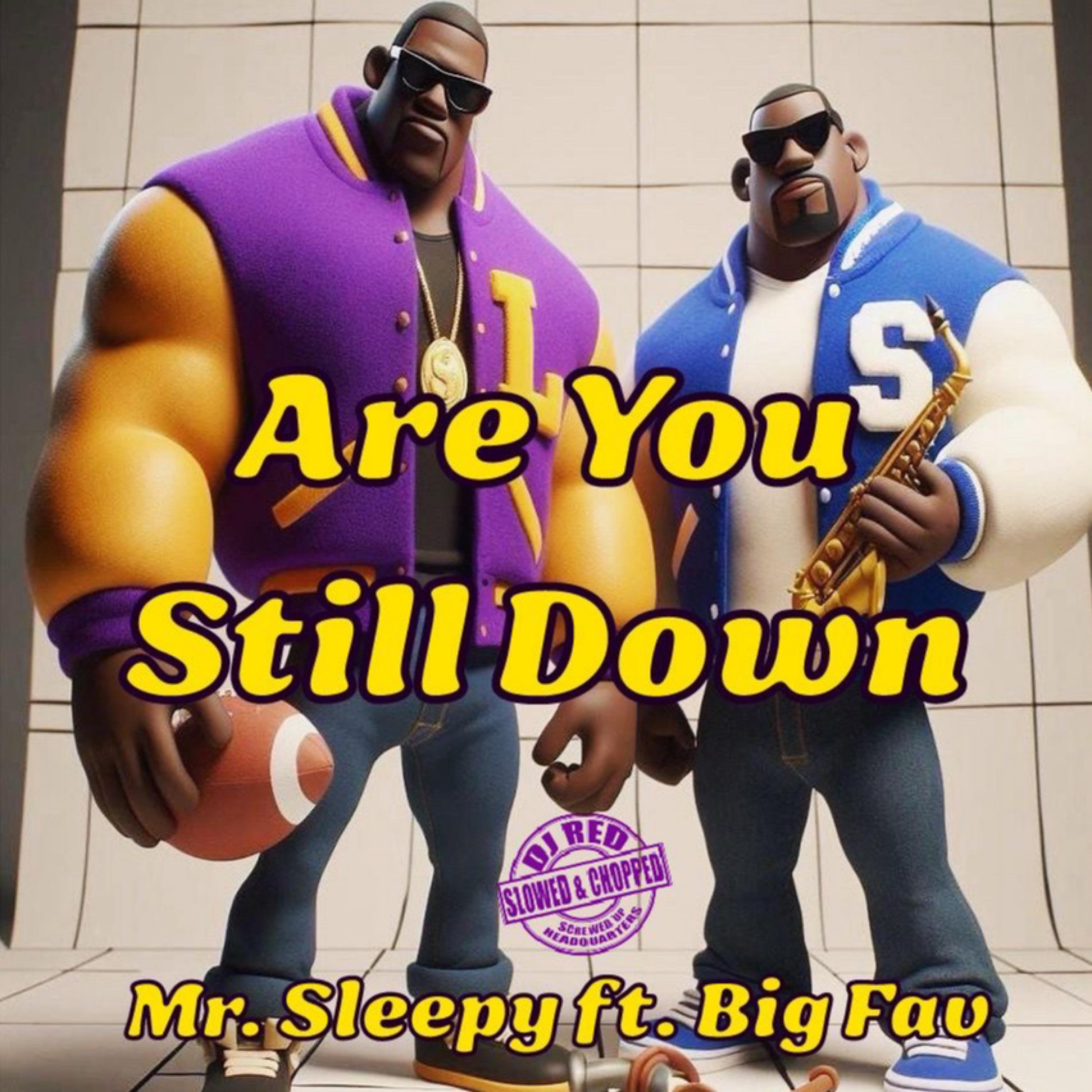 Постер альбома Are You Still Down (feat. Big Fav) [Slowed & Chopped]