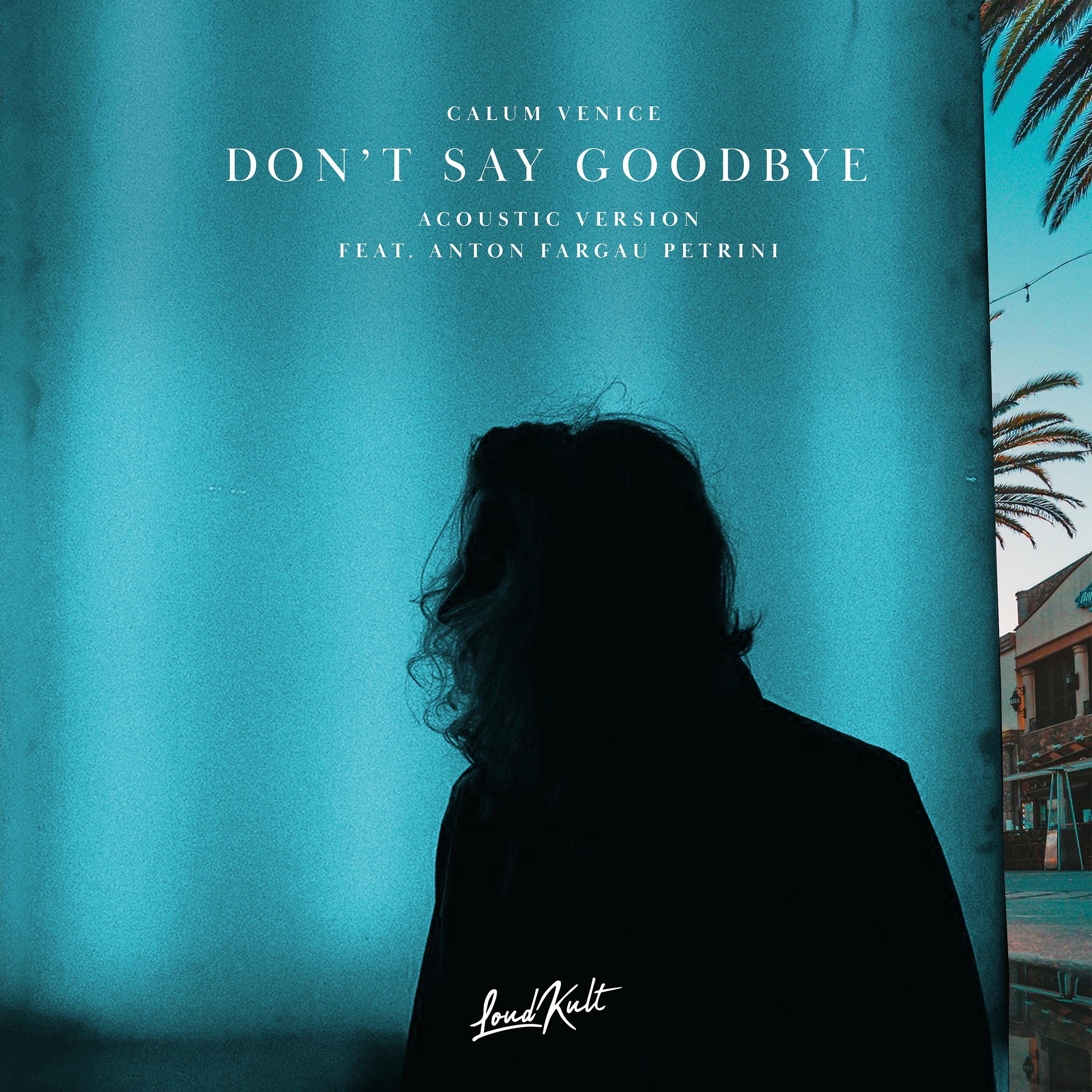 Постер альбома Don't Say Goodbye (Acoustic)