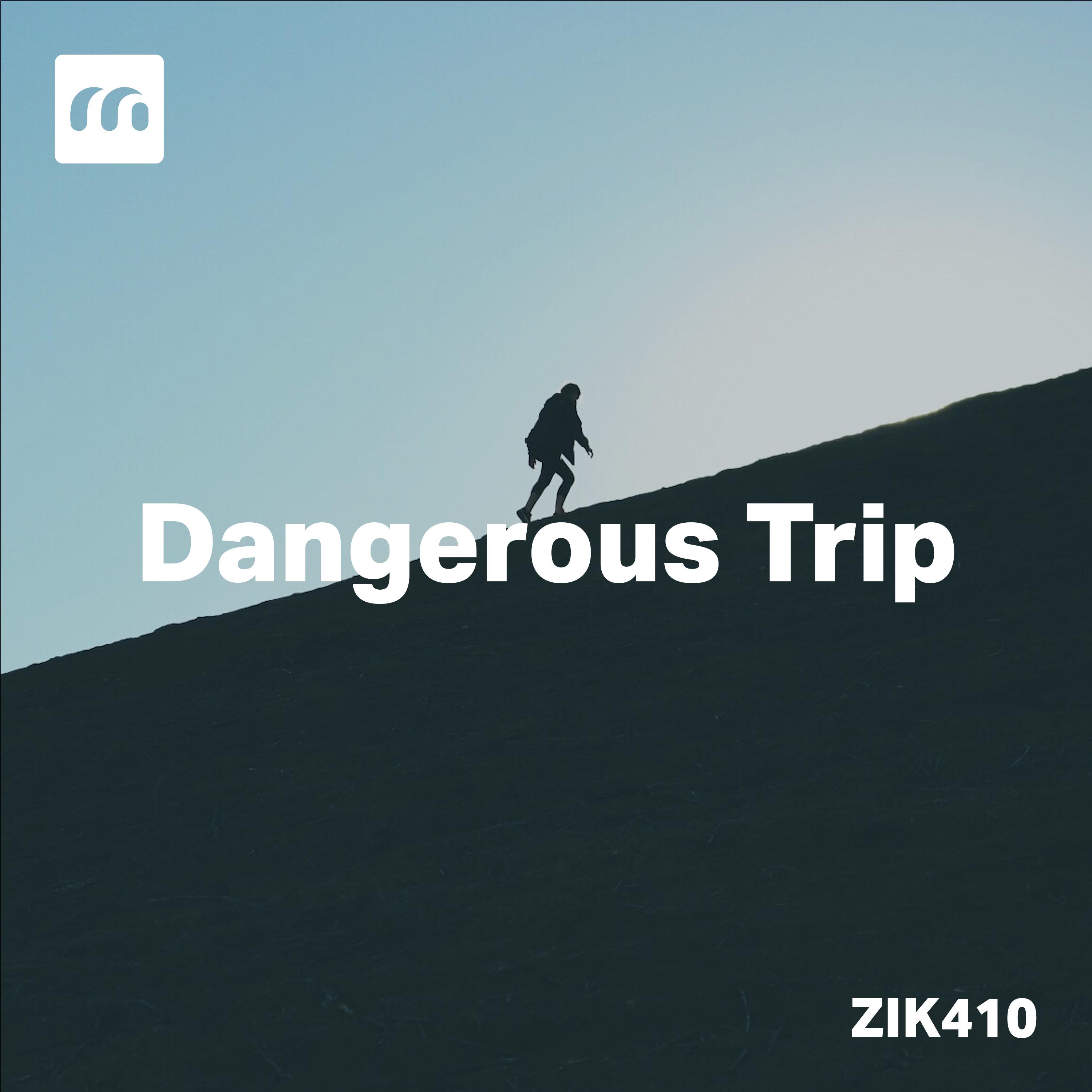Постер альбома Dangerous Trip