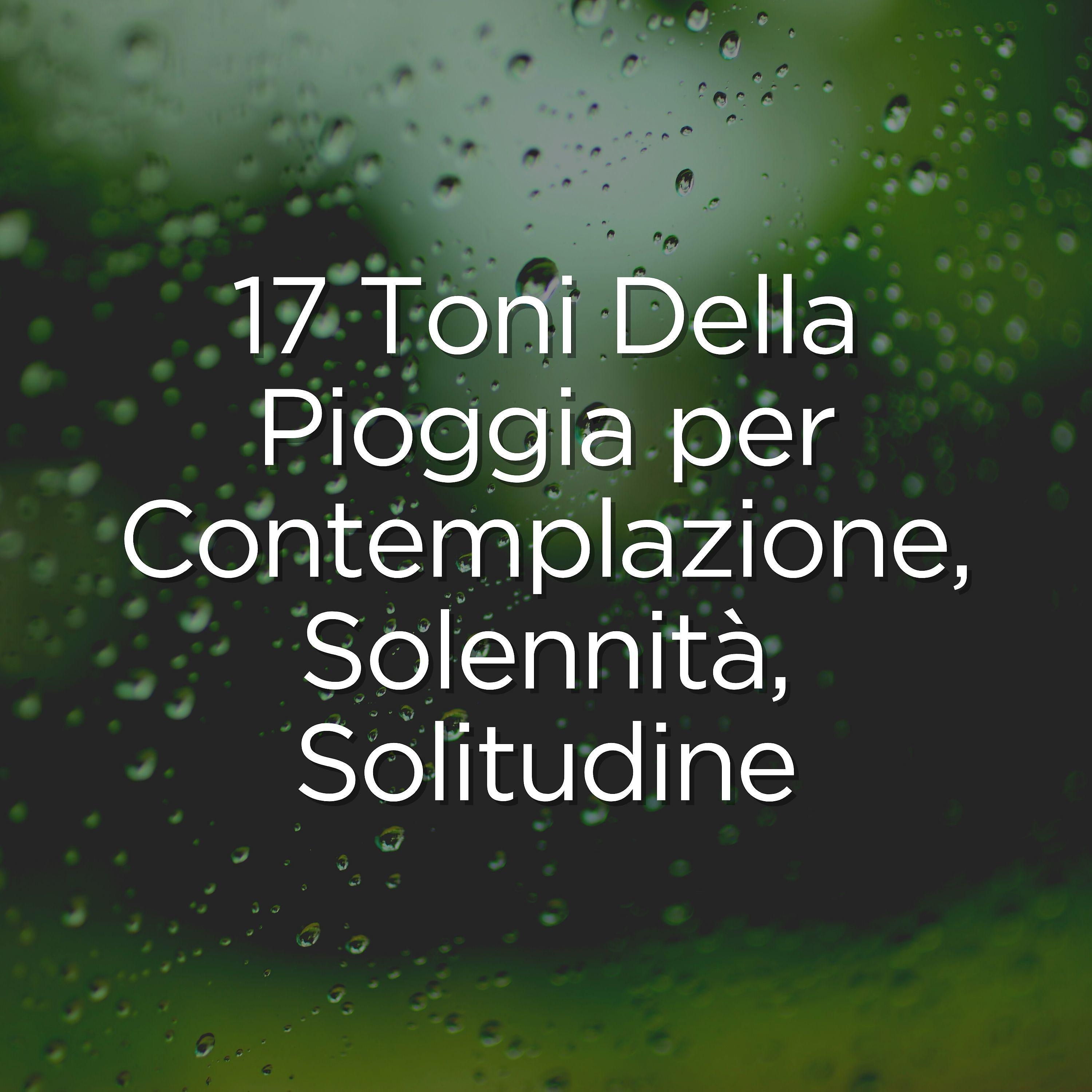 Постер альбома 17 Toni Della Pioggia per Contemplazione, Solennità, Solitudine